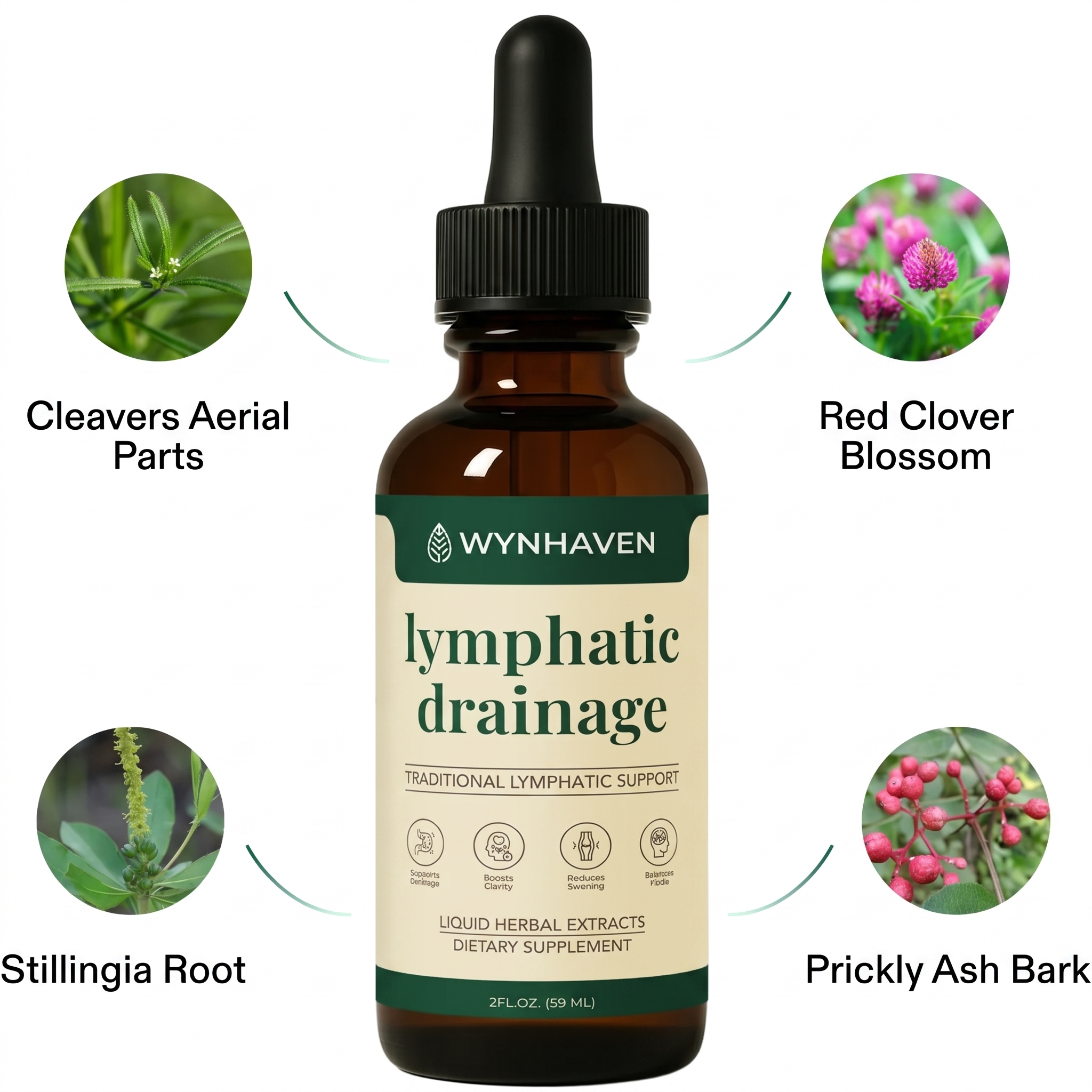 Wynhaven lymphatic drainage ingredients
