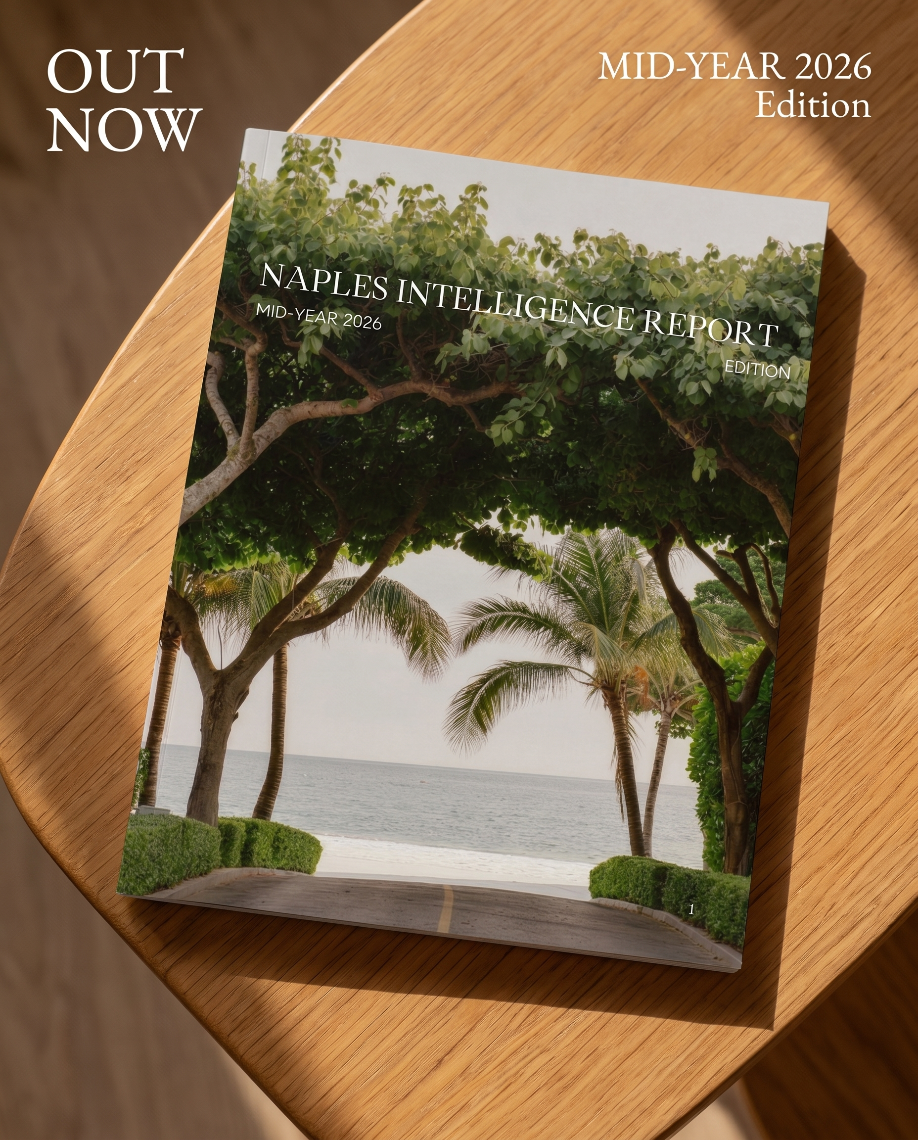 The Naples Intelligence Report, Mid-Year 2026 Edition cover