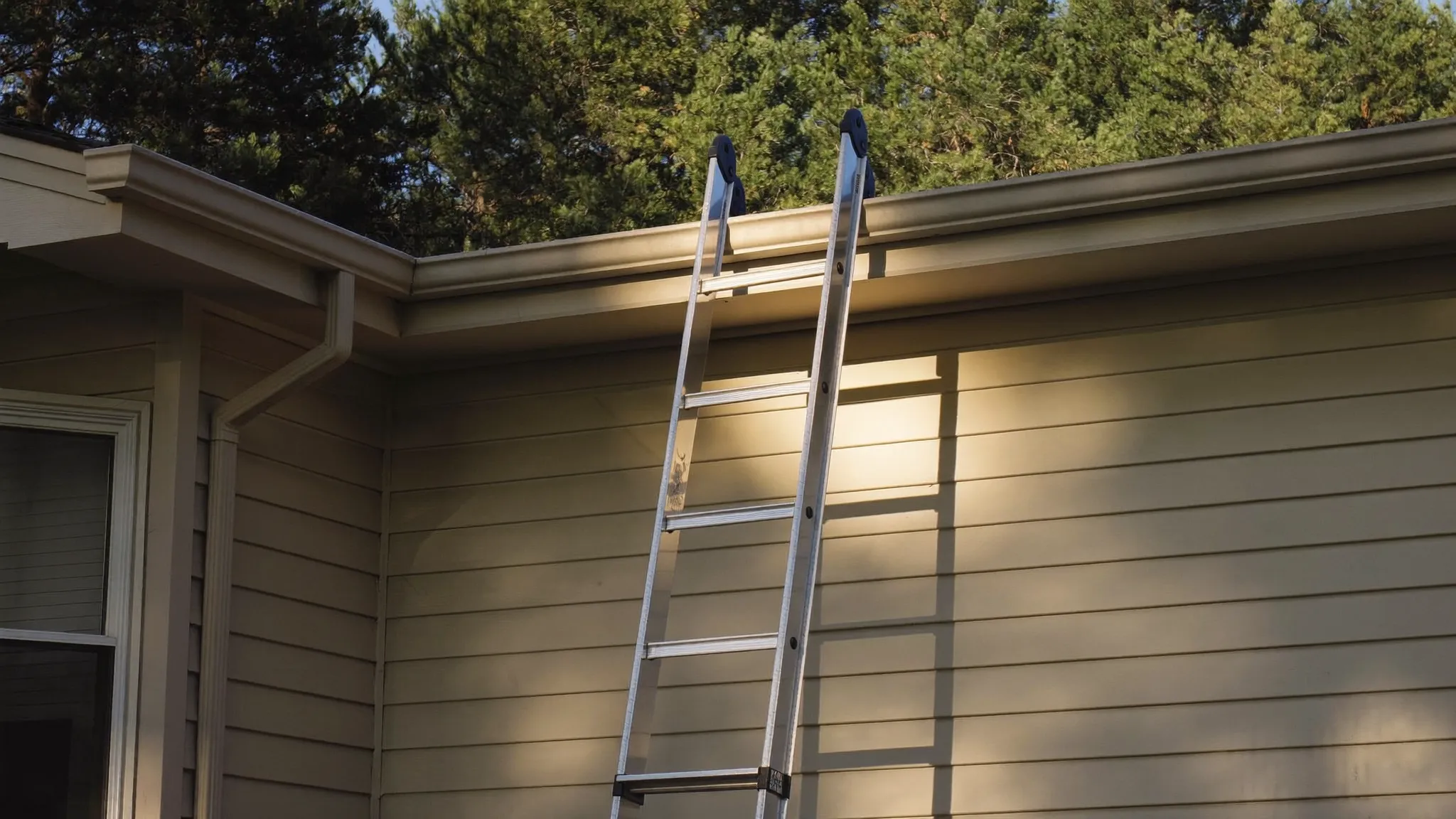An aluminium extension ladder leaning against the gutter line of a two story house in late afternoon light