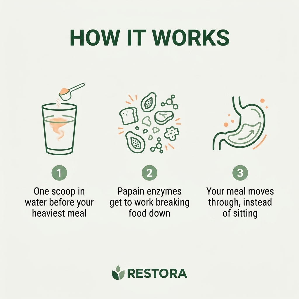 How RESTORA Papaya supports digestion