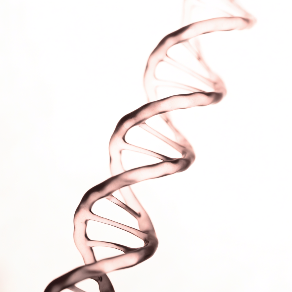 DNA double helix rose tones