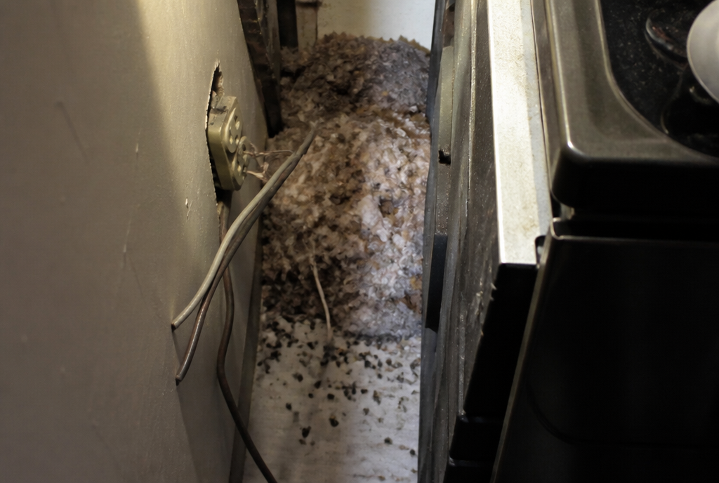 Nest of shredded insulation found behind the stove, exposed wiring and outlet