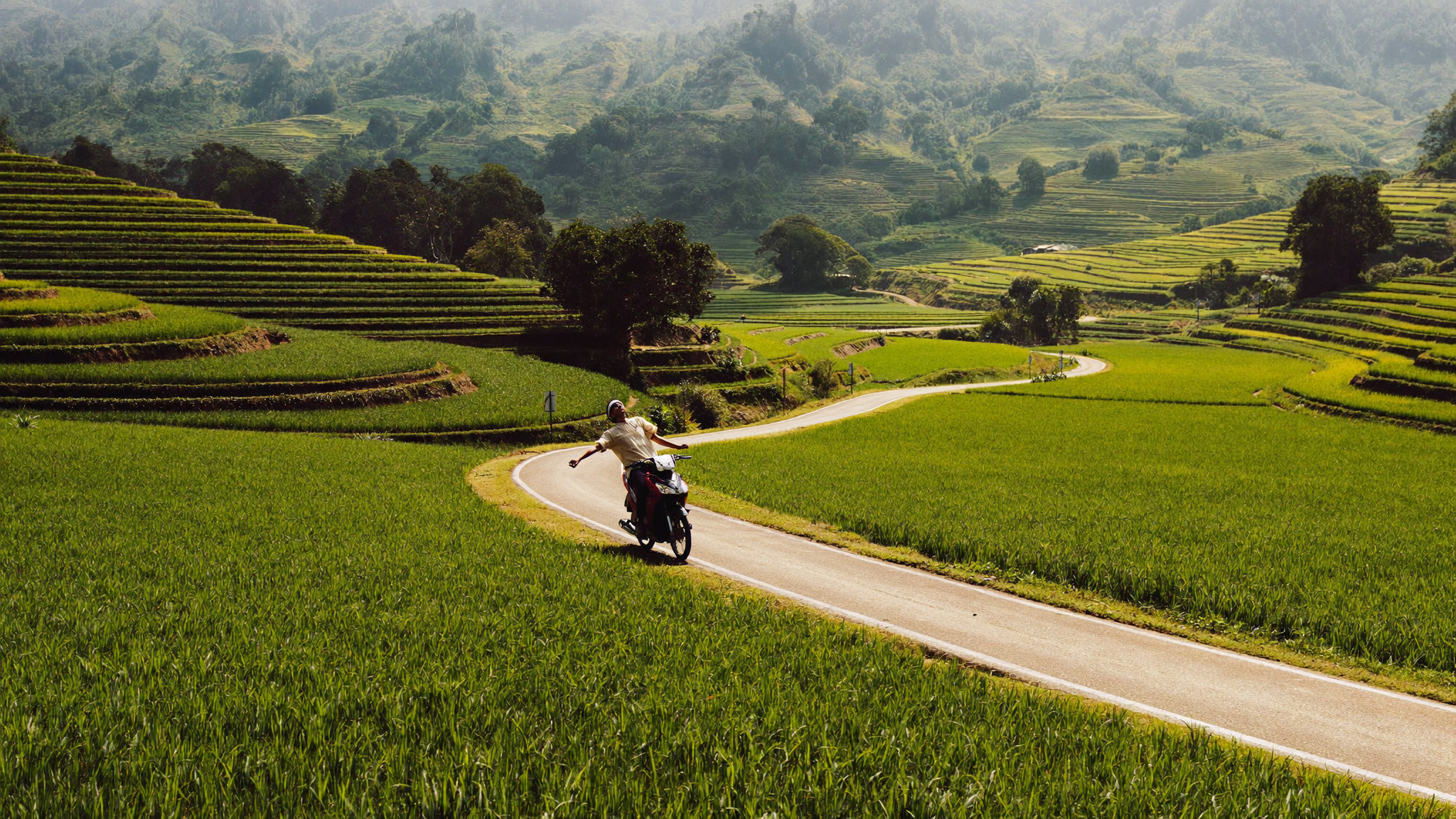 Traveller navigating on a scooter through lush green rice paddies in northern Thailand