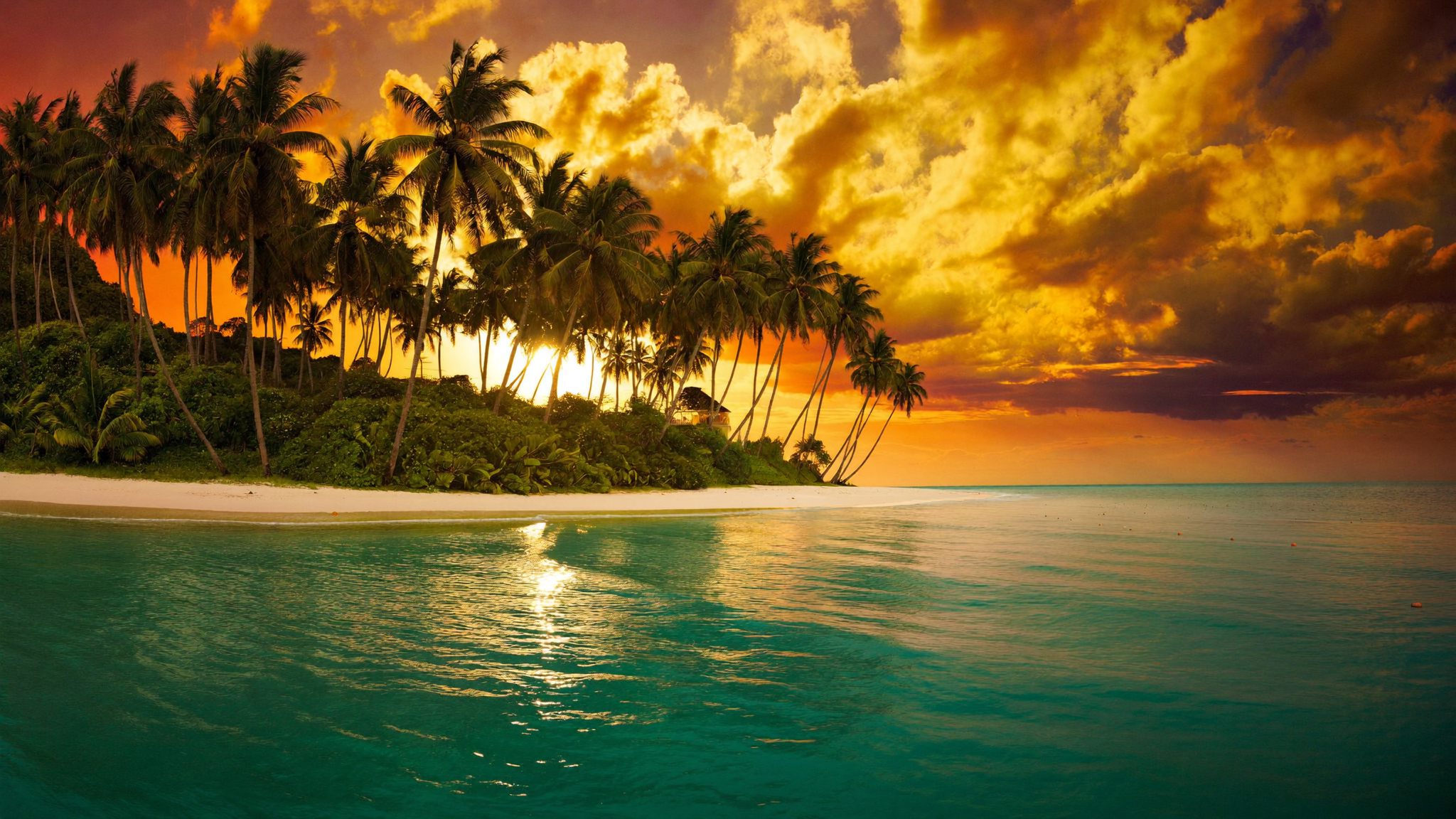 Tropical beach in southern Thailand at golden hour, turquoise water and palm trees in the background