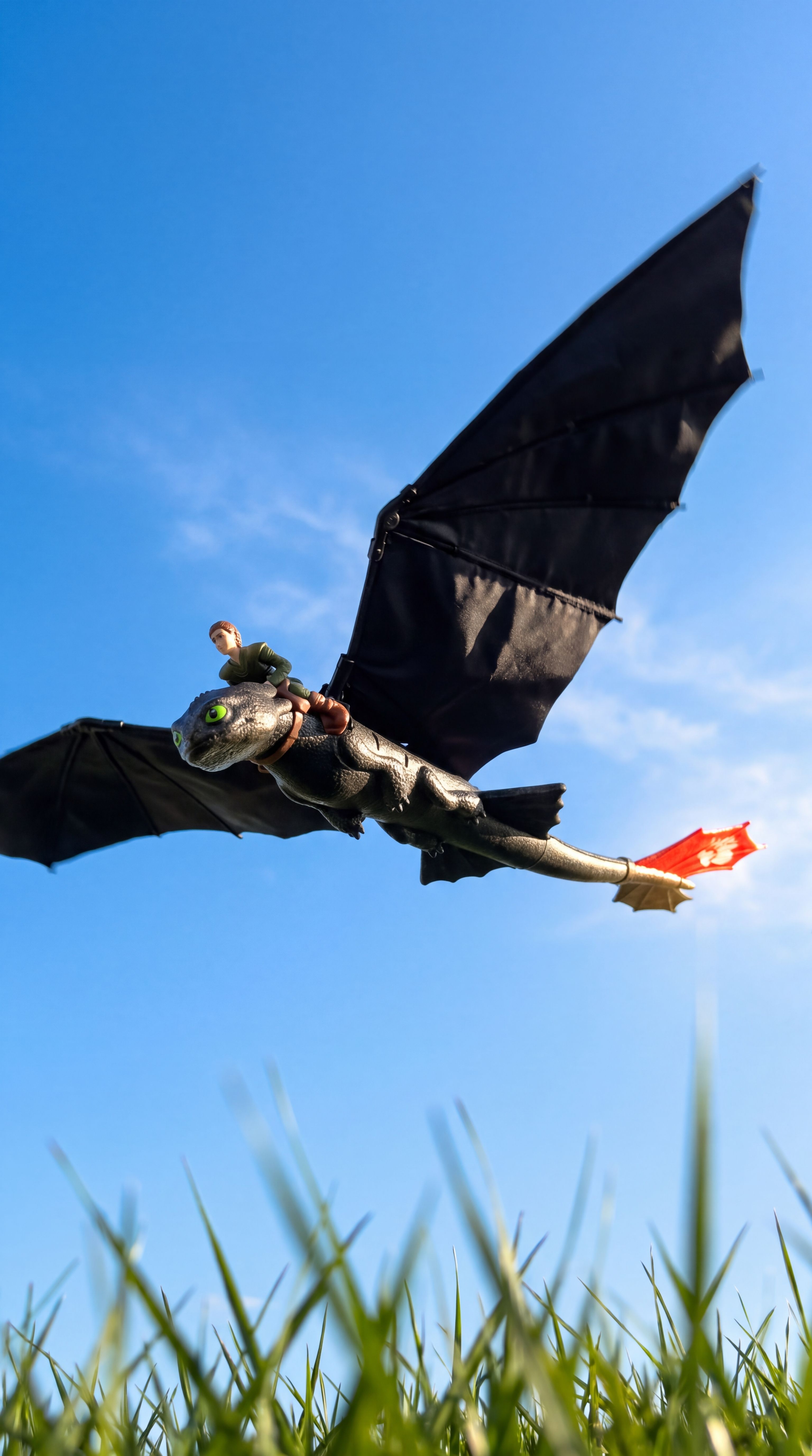 Flight