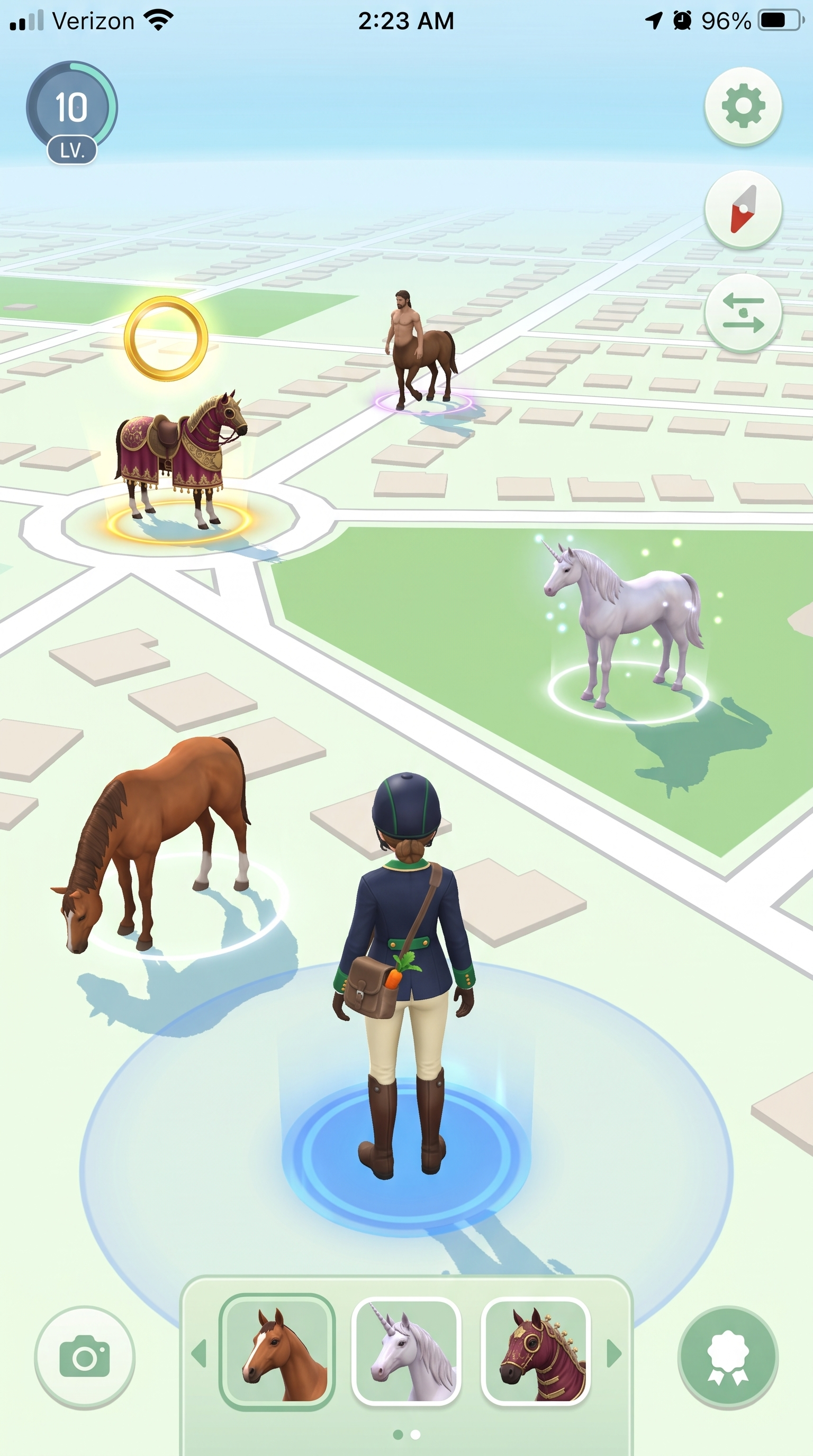 Approaching a wary horse