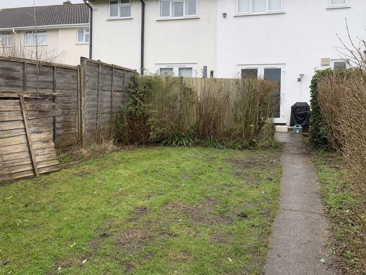 Back garden transformation — before