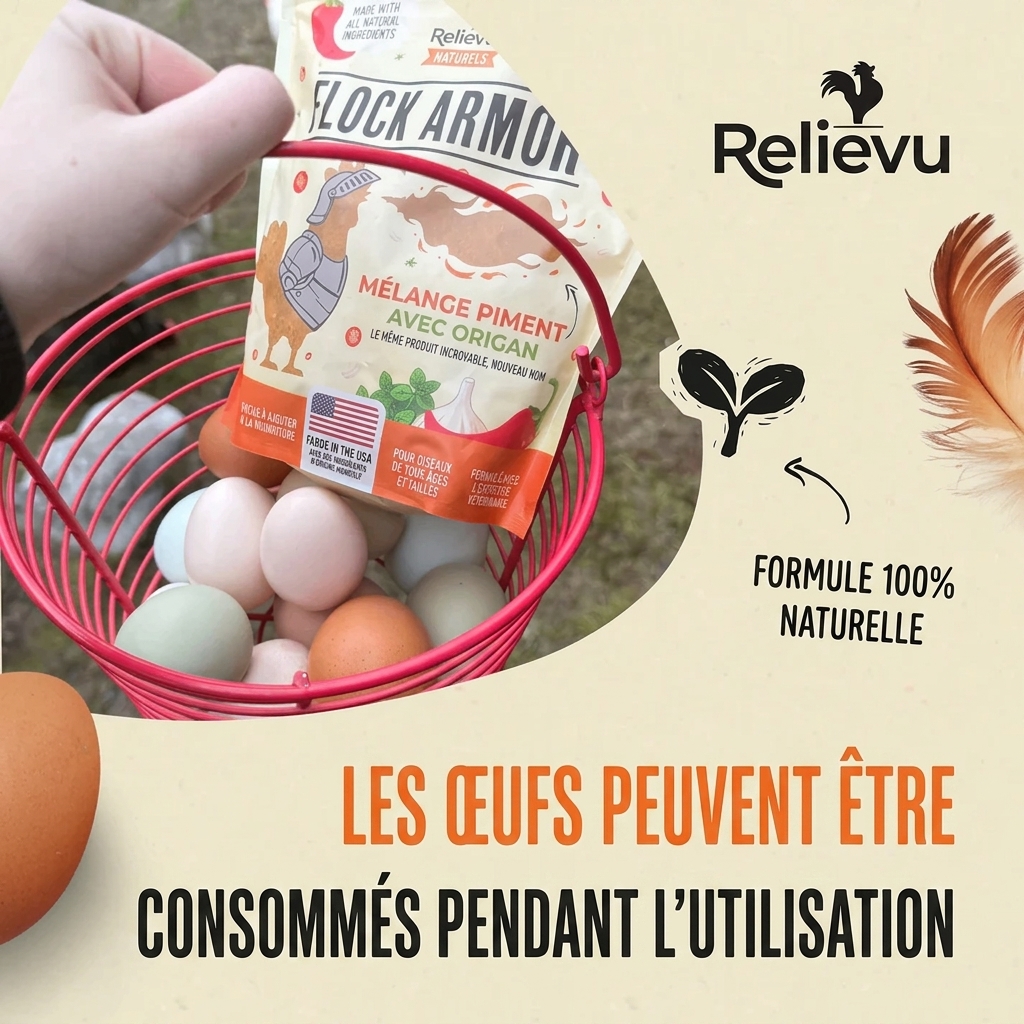Oeufs sains