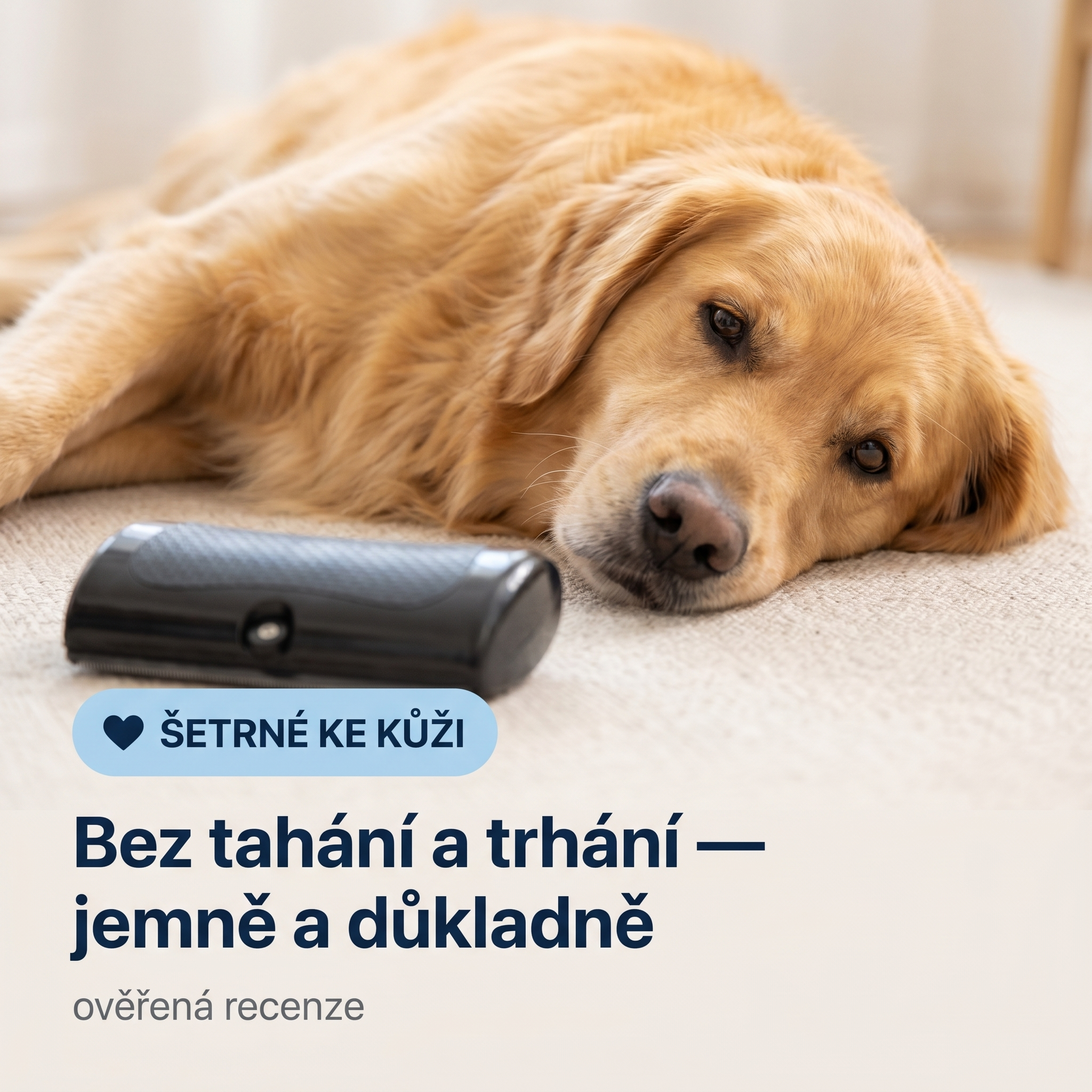Klidný pes po vyčesání