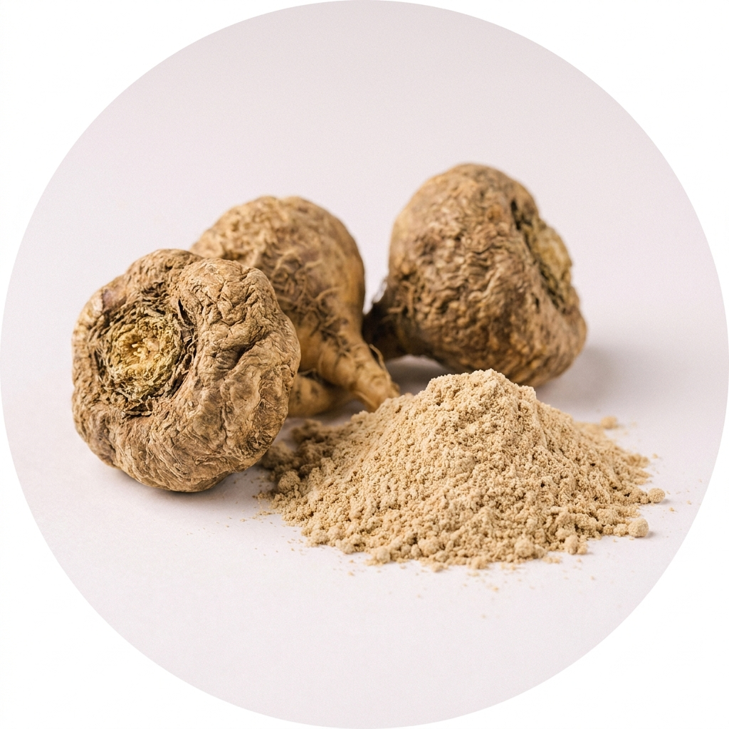 Maca wortel