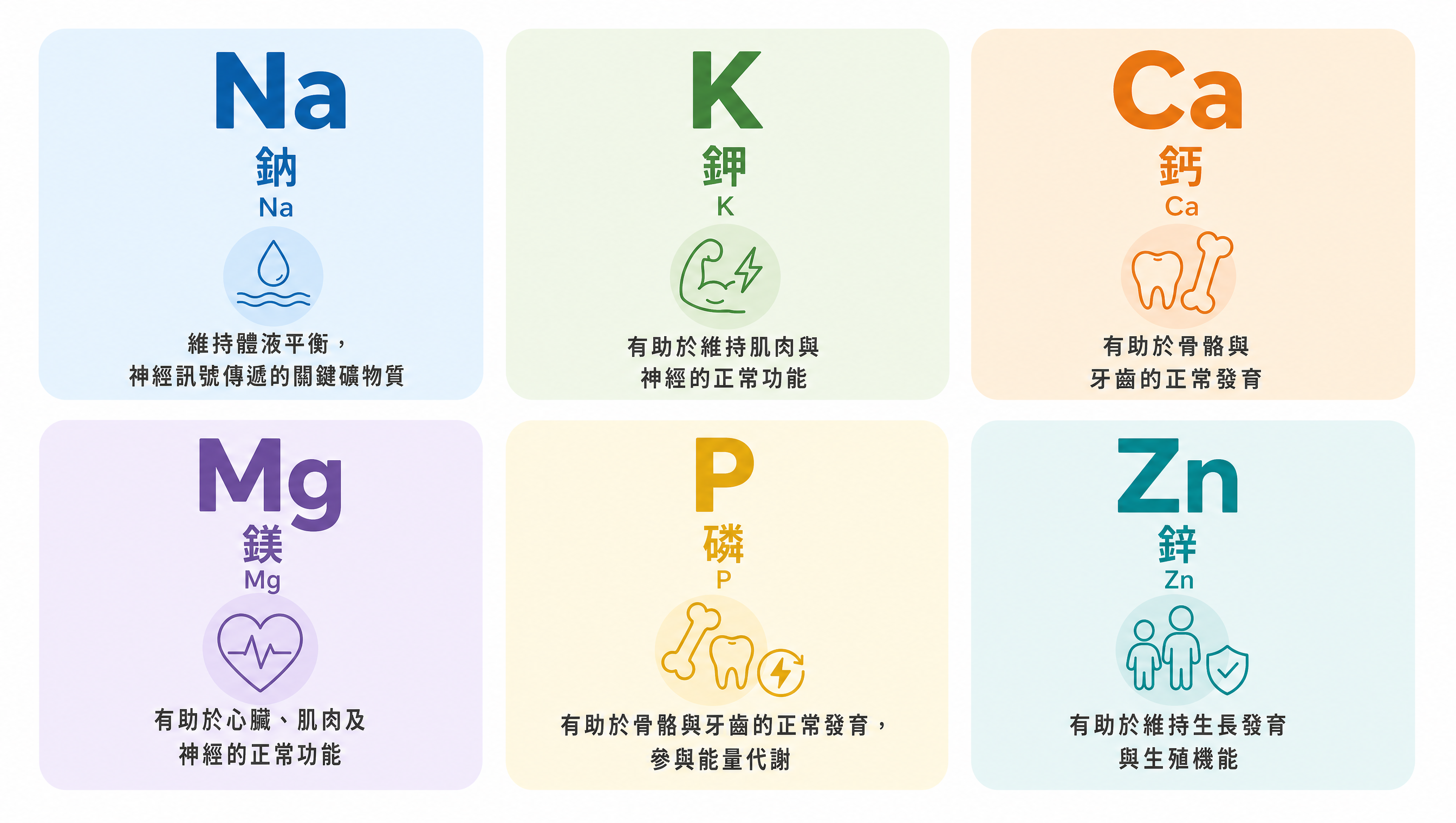 6種電解質礦物質功能說明圖:鈉、鉀、鈣、鎂、磷、鋅