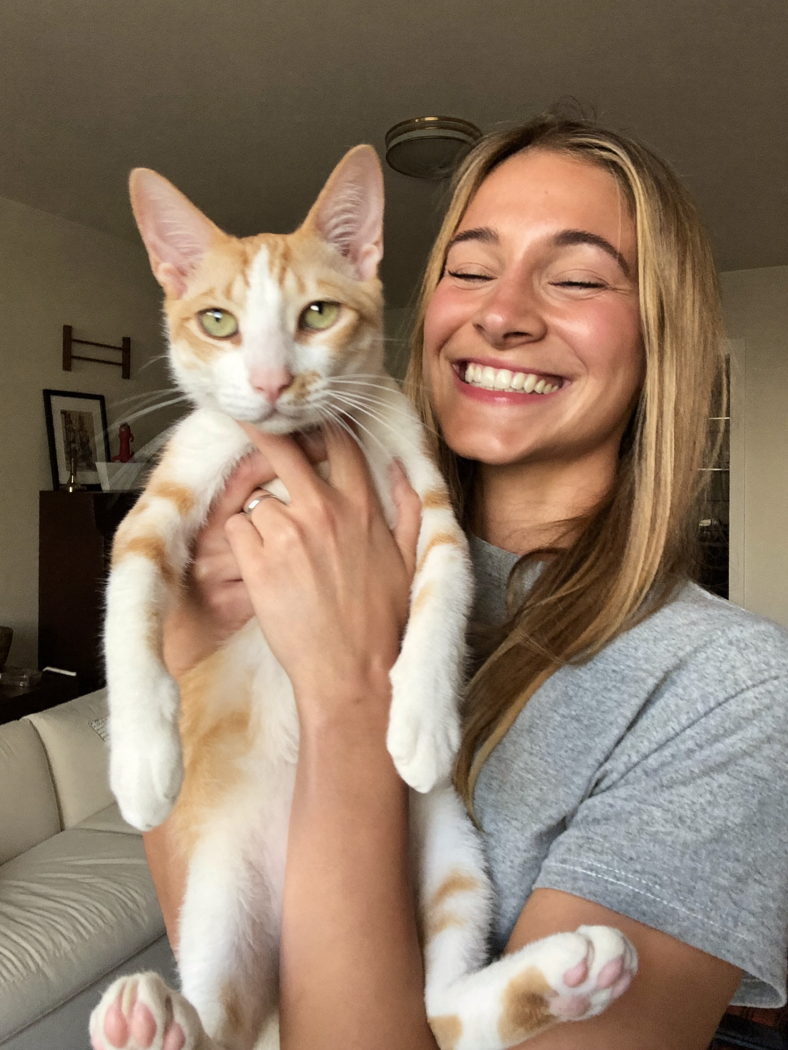 Wrenwood pet at home