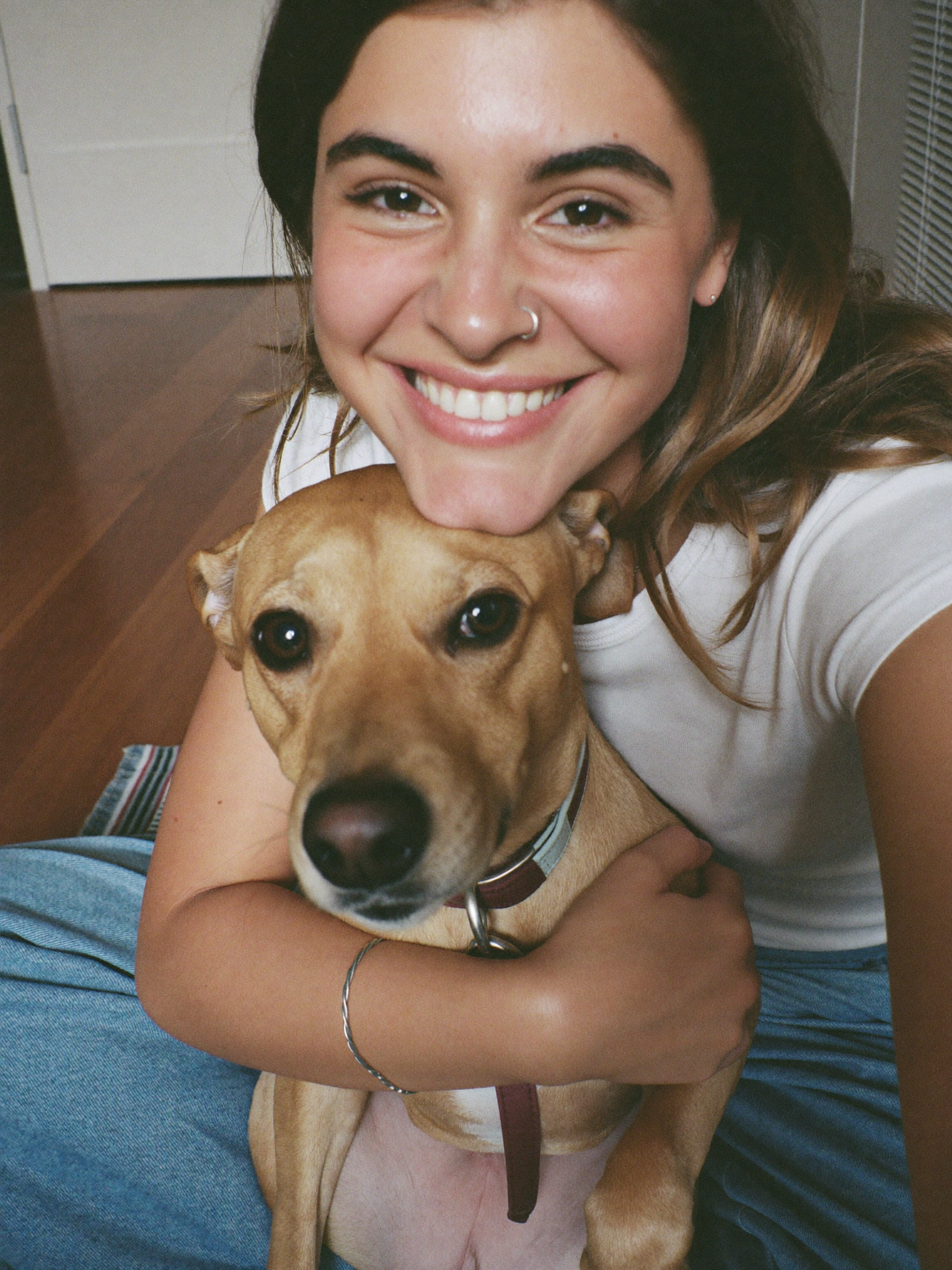 Wrenwood pet at home