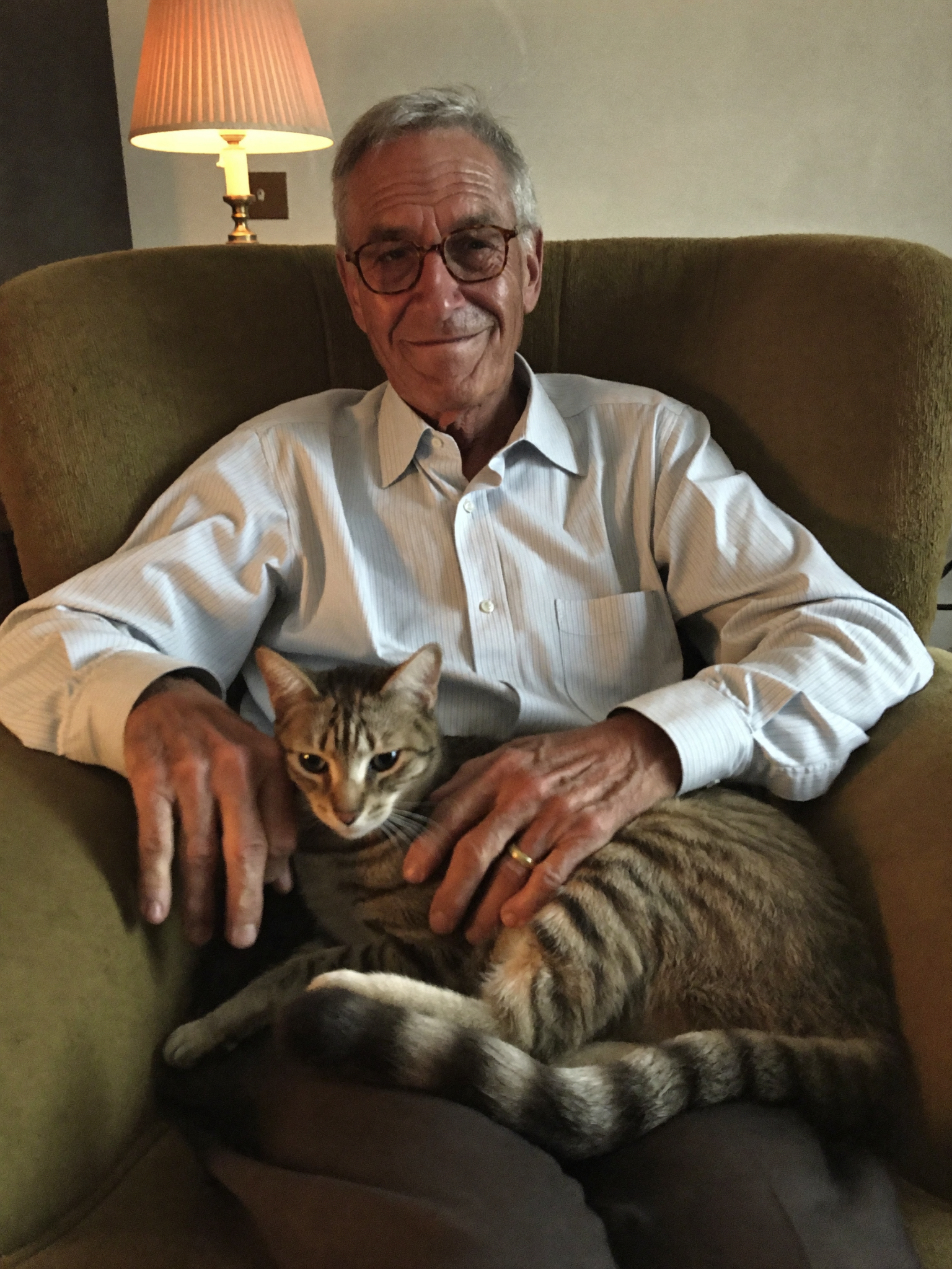 Wrenwood pet at home