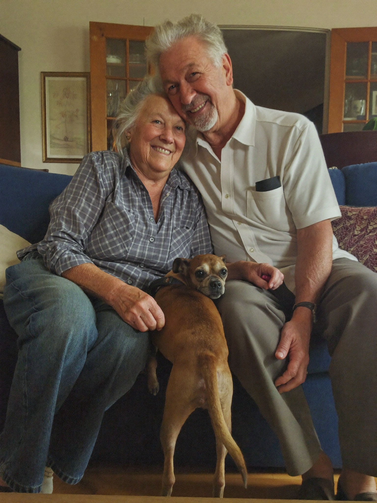 Wrenwood pet at home
