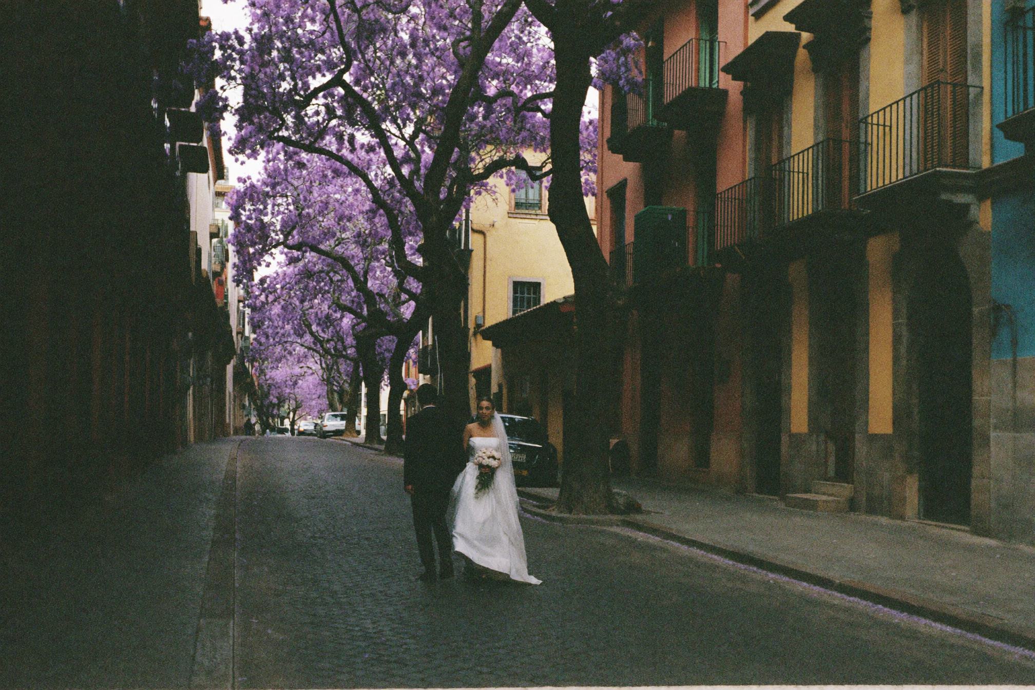 Coyoacán & the Jacaranda Streets