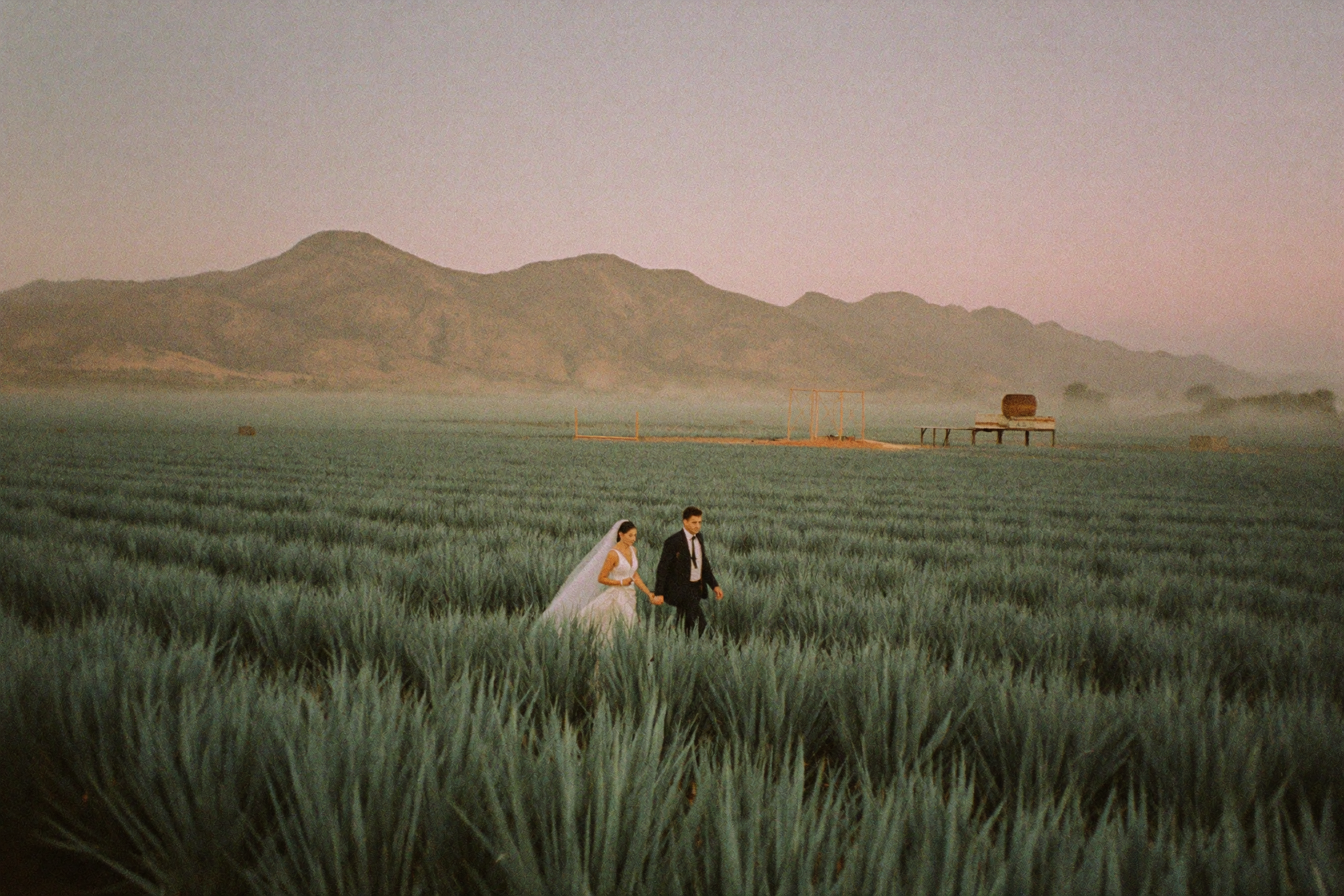 Best Time to Elope in Oaxaca