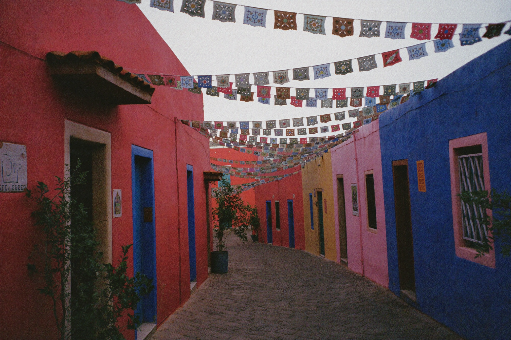 The Painted Streets & Mezcal Country