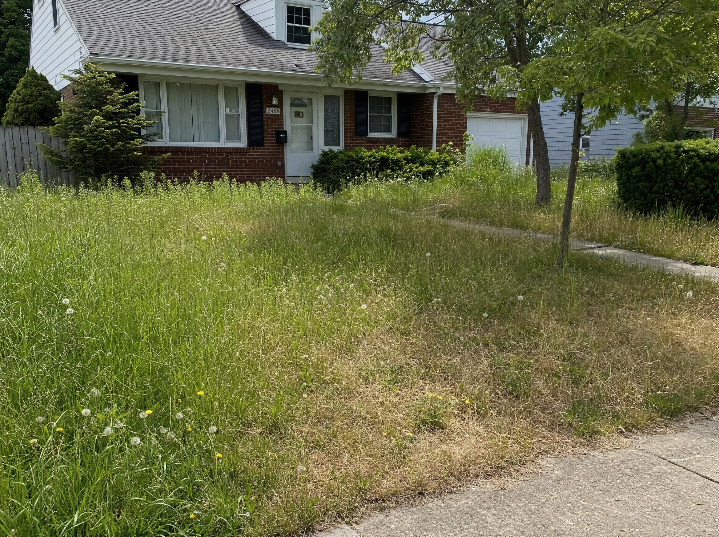 Lawn fertilization