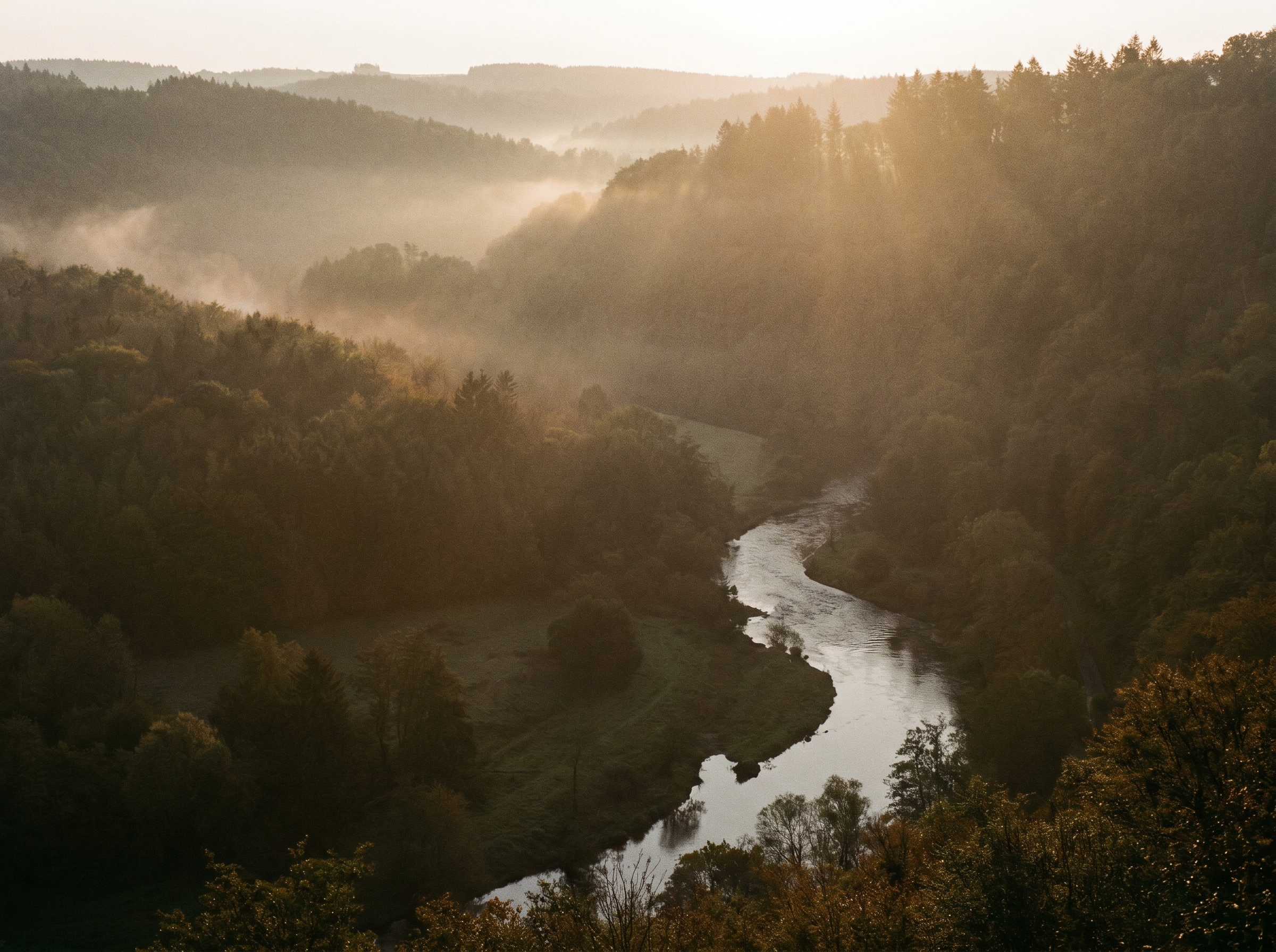 Mistige Ardennen bij dageraad