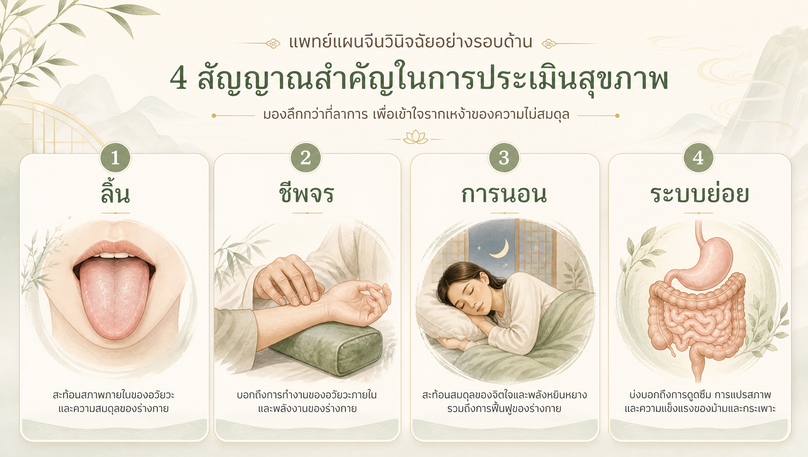 องค์ประกอบที่แพทย์จีนใช้ประกอบการประเมิน ได้แก่ ลิ้น ชีพจร การนอน และระบบย่อย