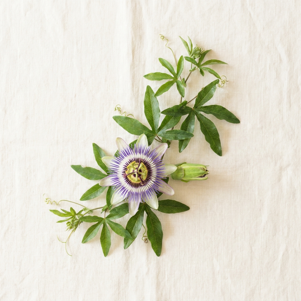 Pasiflora