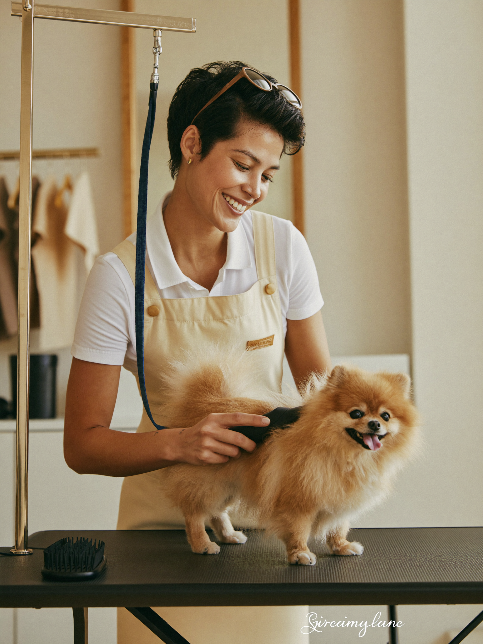 Pet groomer grooming a happy dog