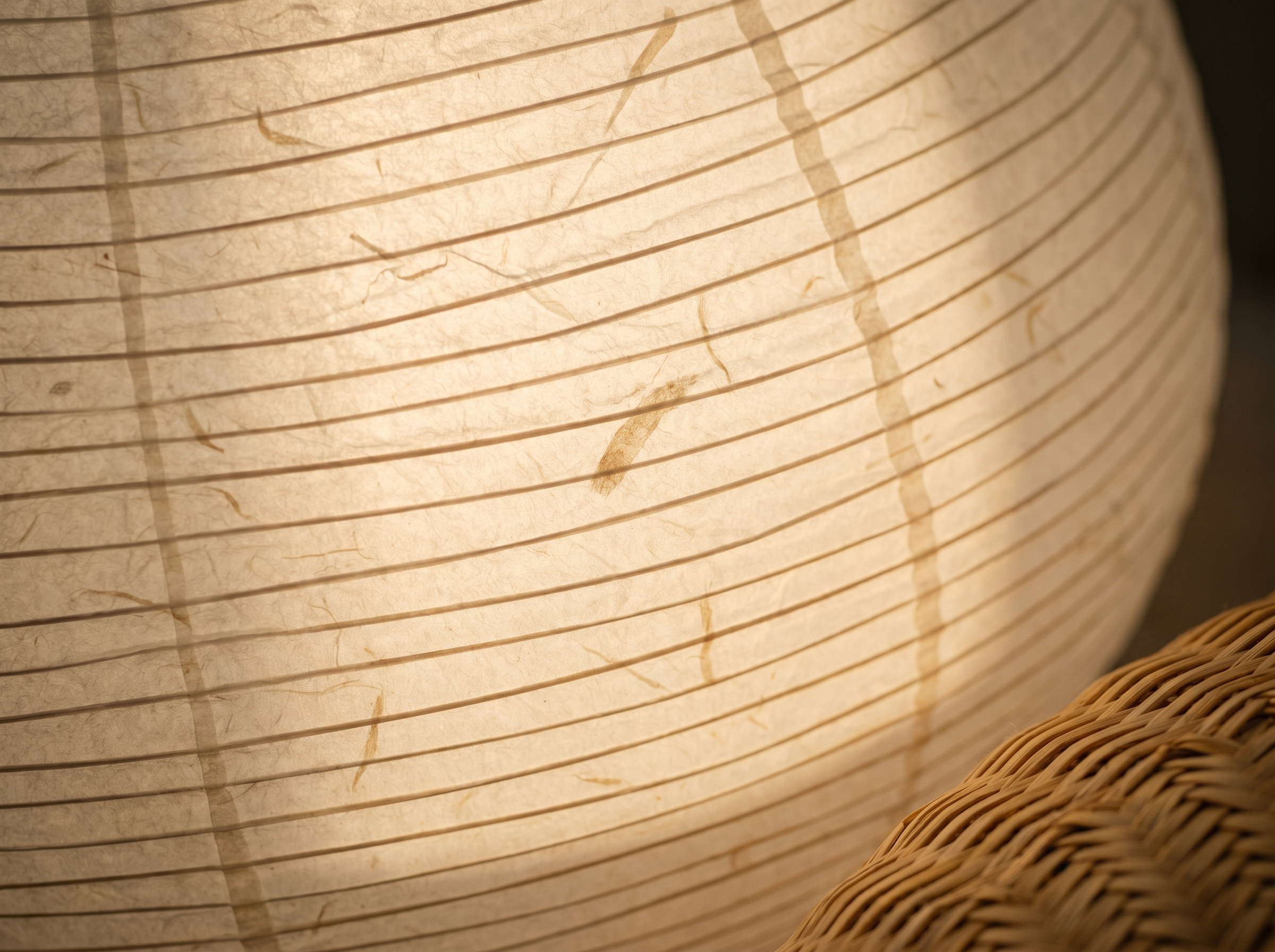Close-up of warm late-afternoon light across a rice paper lantern shade