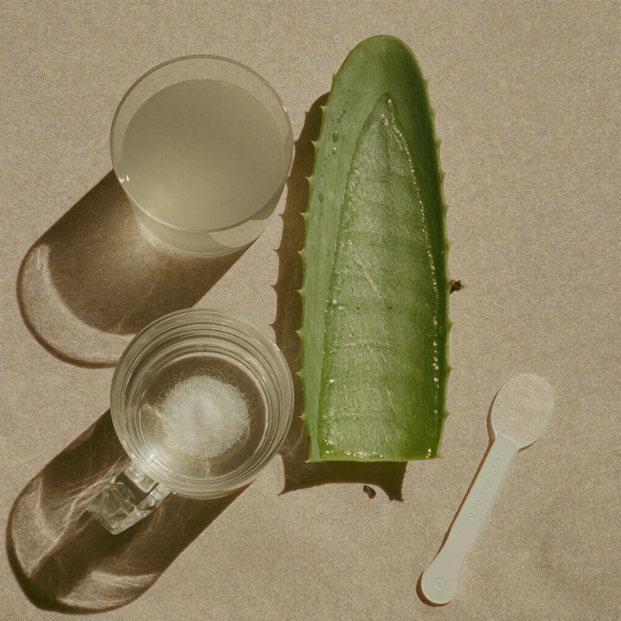 Aloe vera and supplement scoop flat-lay