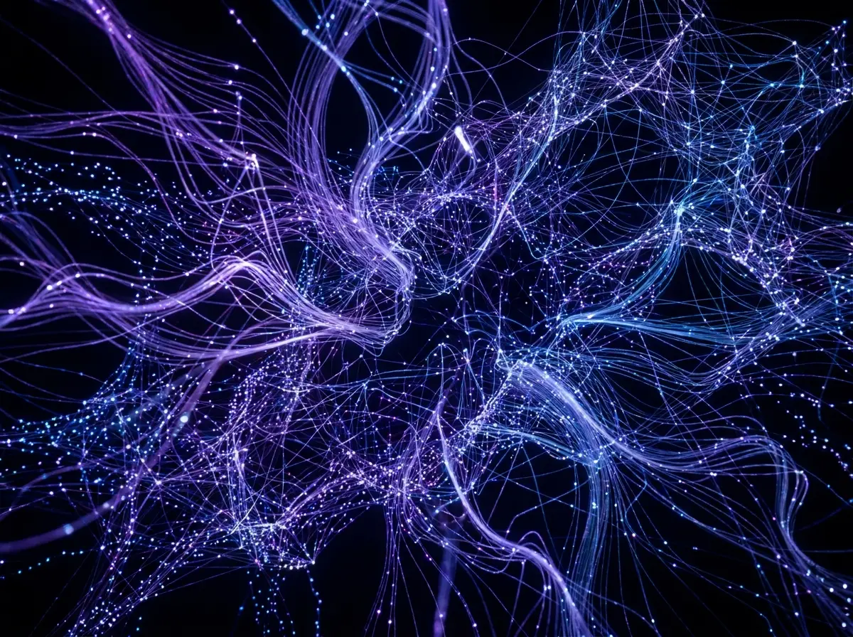 Signalscape data art experiment