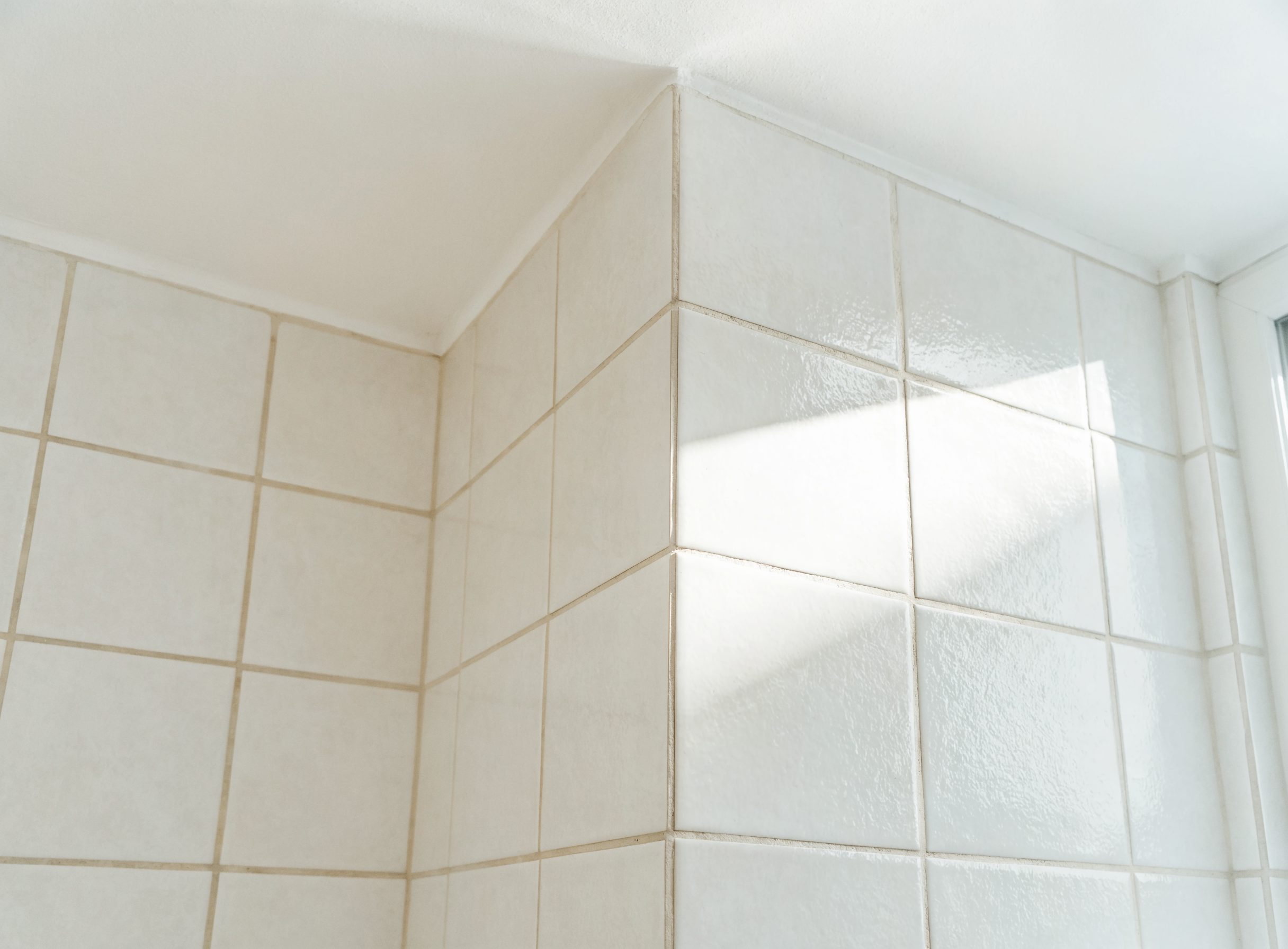 Pristine mould-free bathroom in an Eastern Suburbs apartment