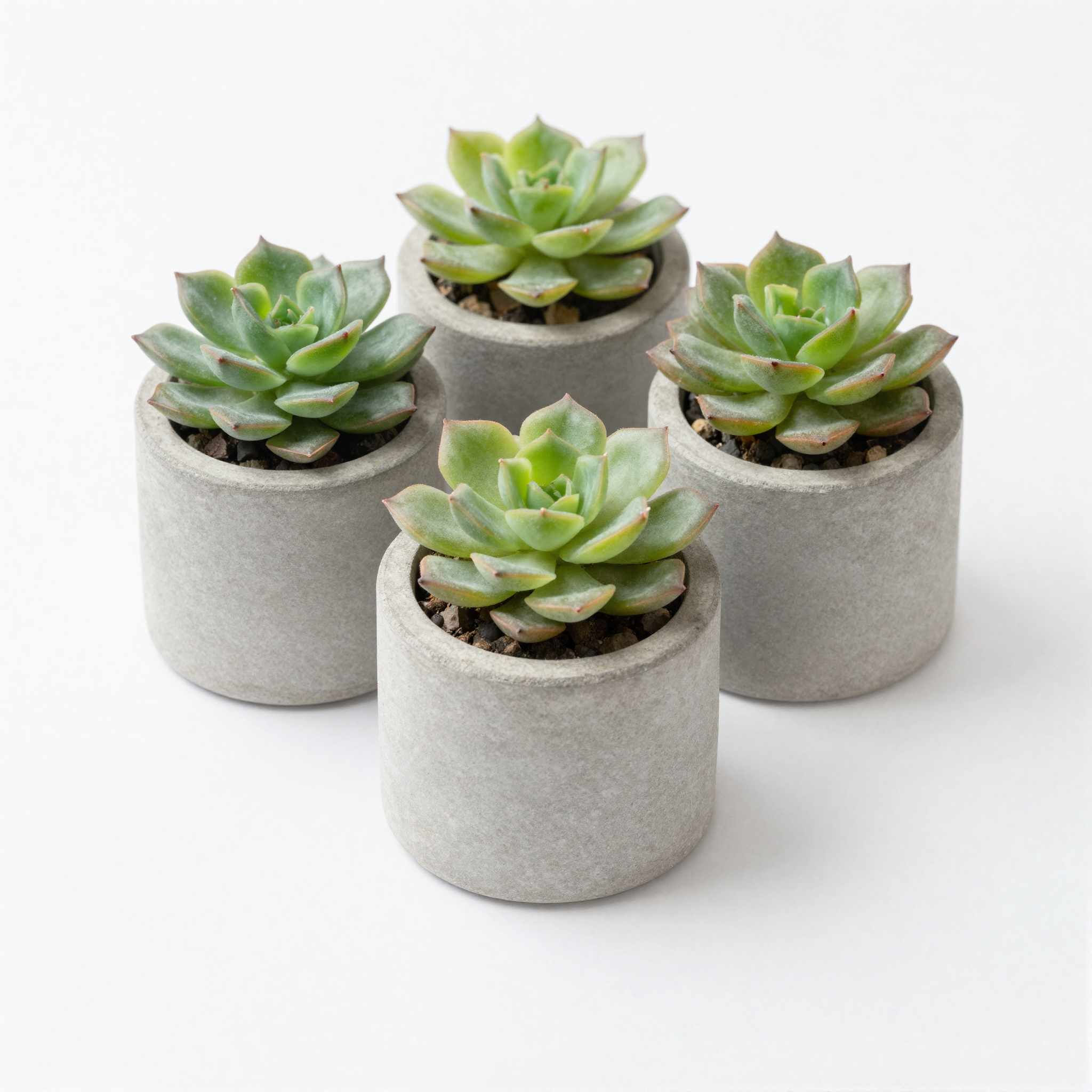 Mini Succulent Pots detail