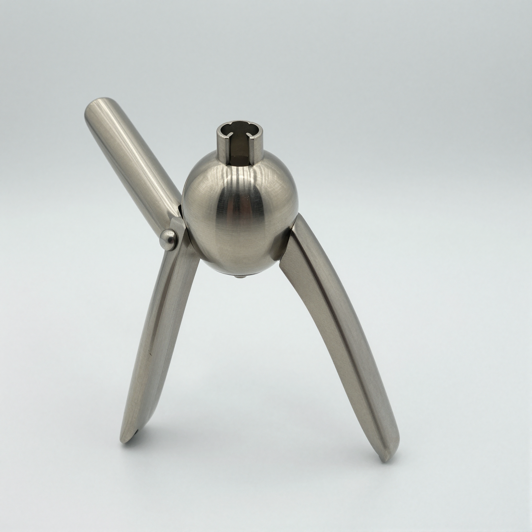Stainless Steel Garlic Press