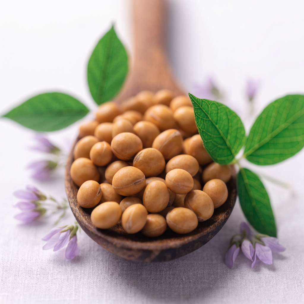 Isoflavonas de soya