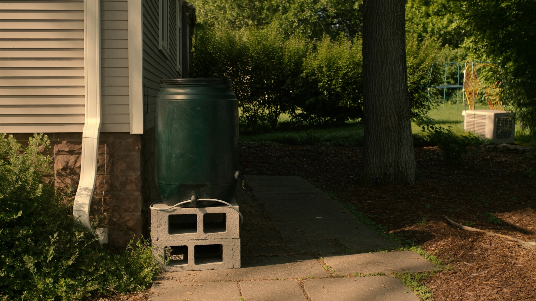 DIY rain barrel system — charming suburban backyard with barrel beside downspout, golden hour light