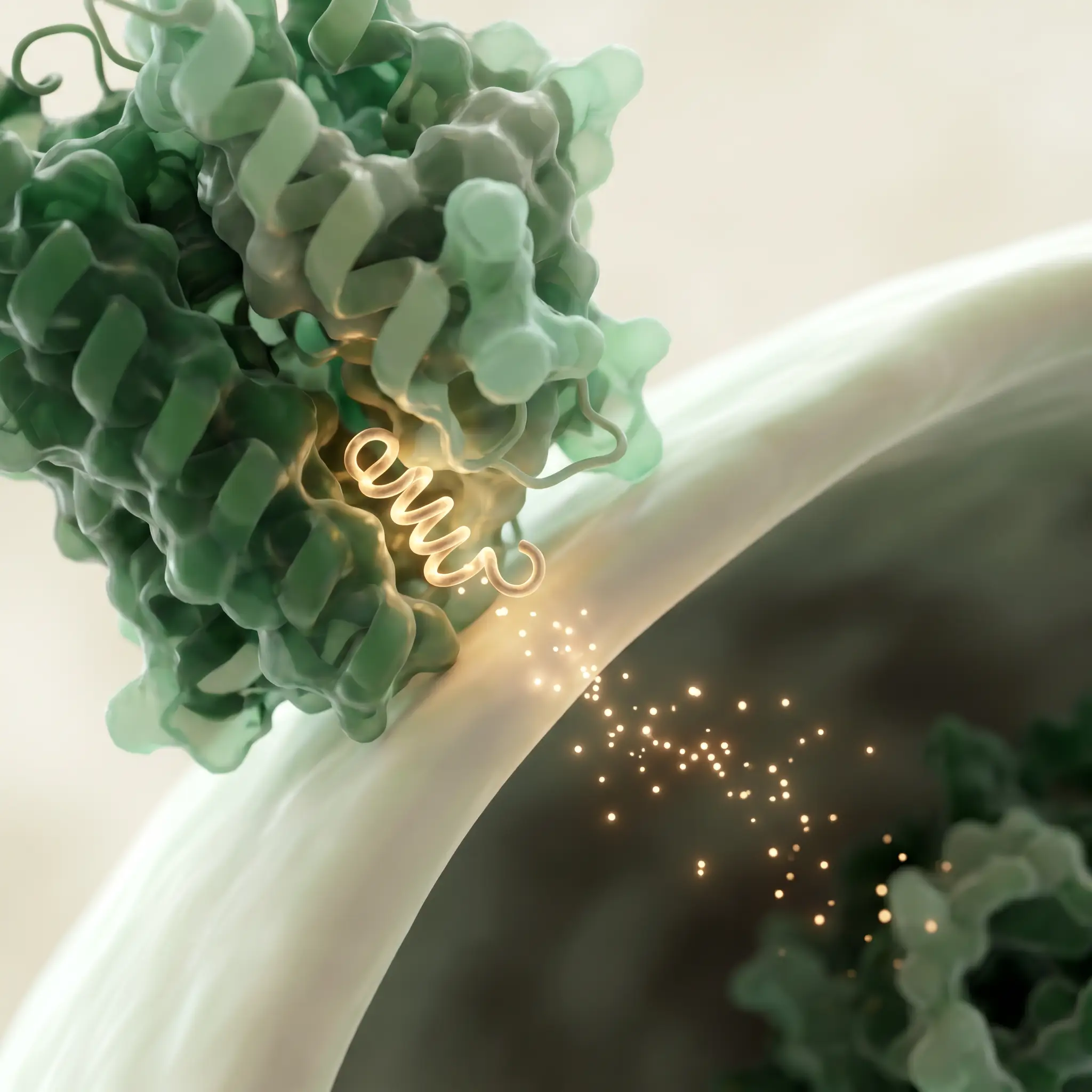 A long-acting GLP-1 receptor agonist molecule binding the GLP-1 receptor on a cell surface and switching the satiety signal back on