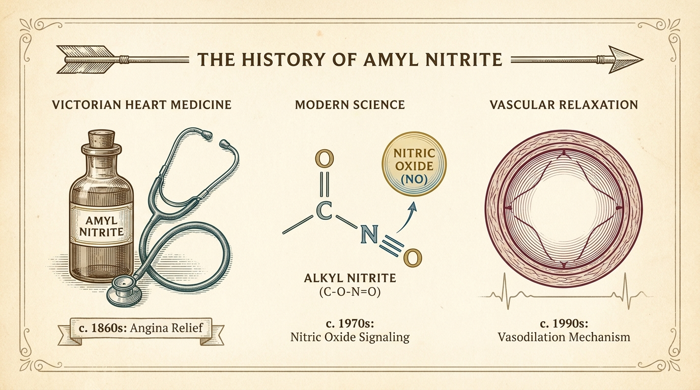 Vintage wetenschappelijke infographic over de geschiedenis van poppers: een antiek apothekersflesje en stethoscoop, de chemische structuur van alkylnitriet met een stikstofmonoxide-molecuul, en een verwijdend bloedvat op een tijdlijn