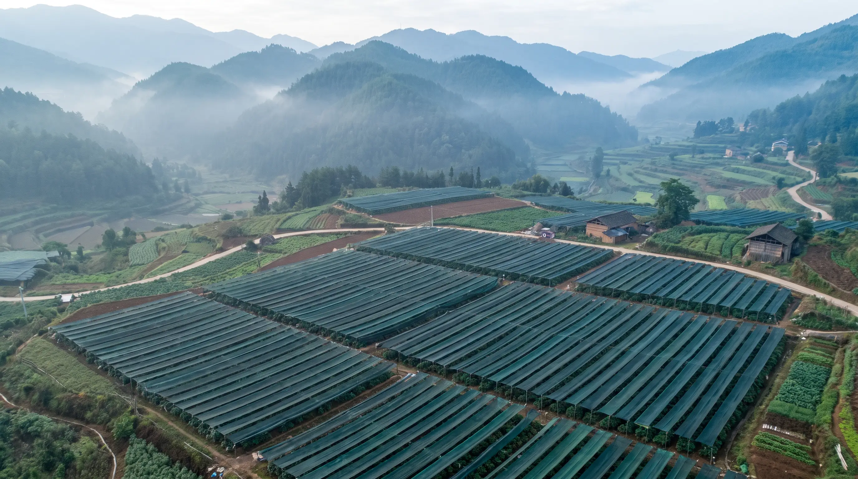 Terraced medicinal herb cultivation in Yunnan