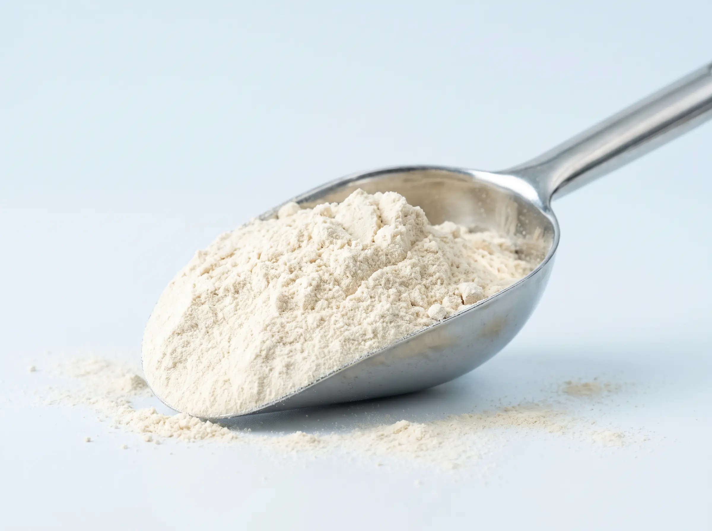Spray-dried botanical extract powder in a scoop
