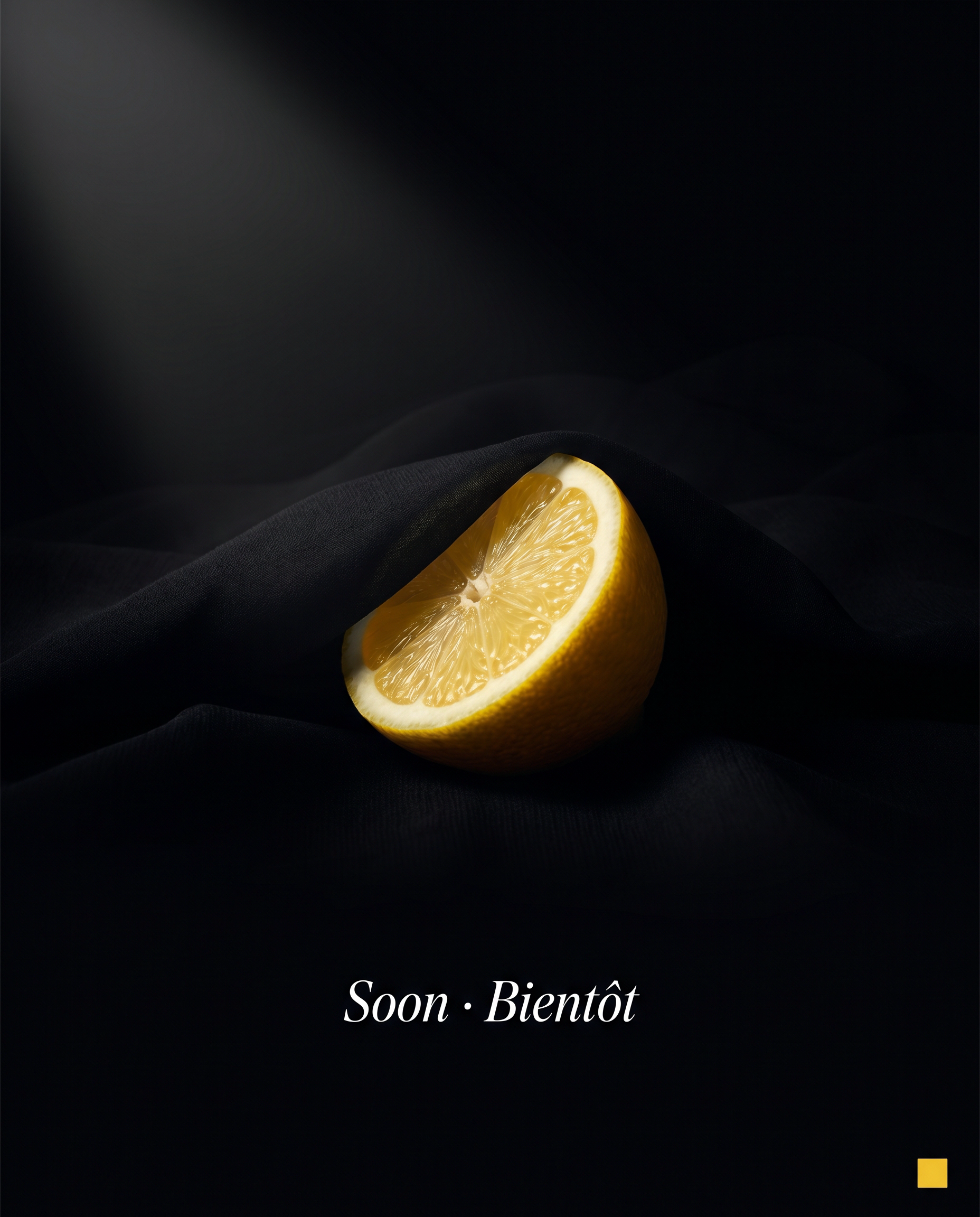 Un citron sous un voile de soie noire