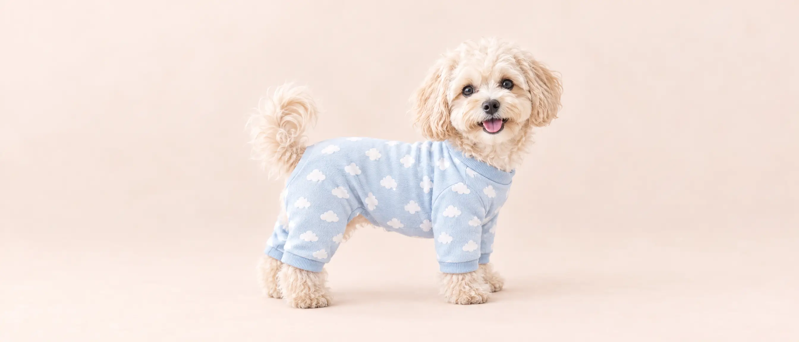 Puppy in pastel blue cloud pajamas