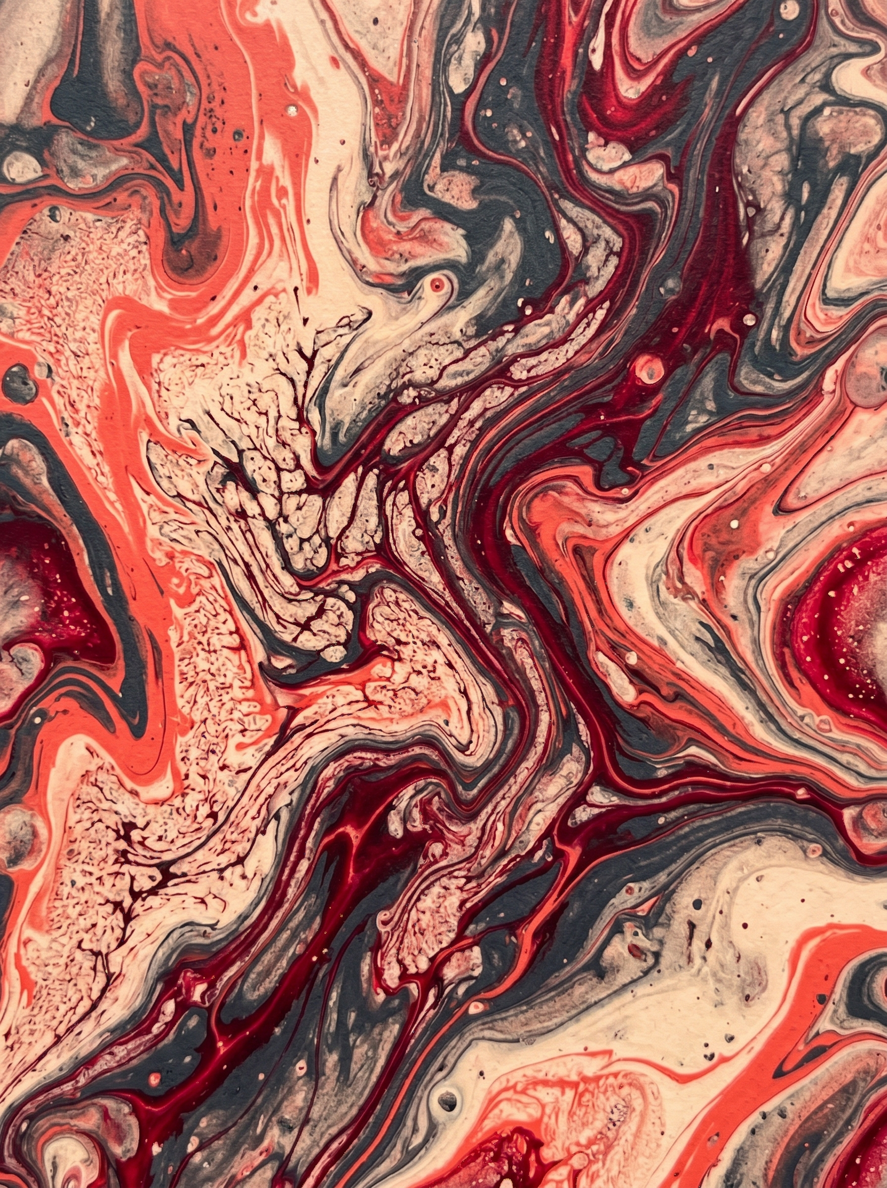 Pintura fluida coral en movimiento, representando GEO