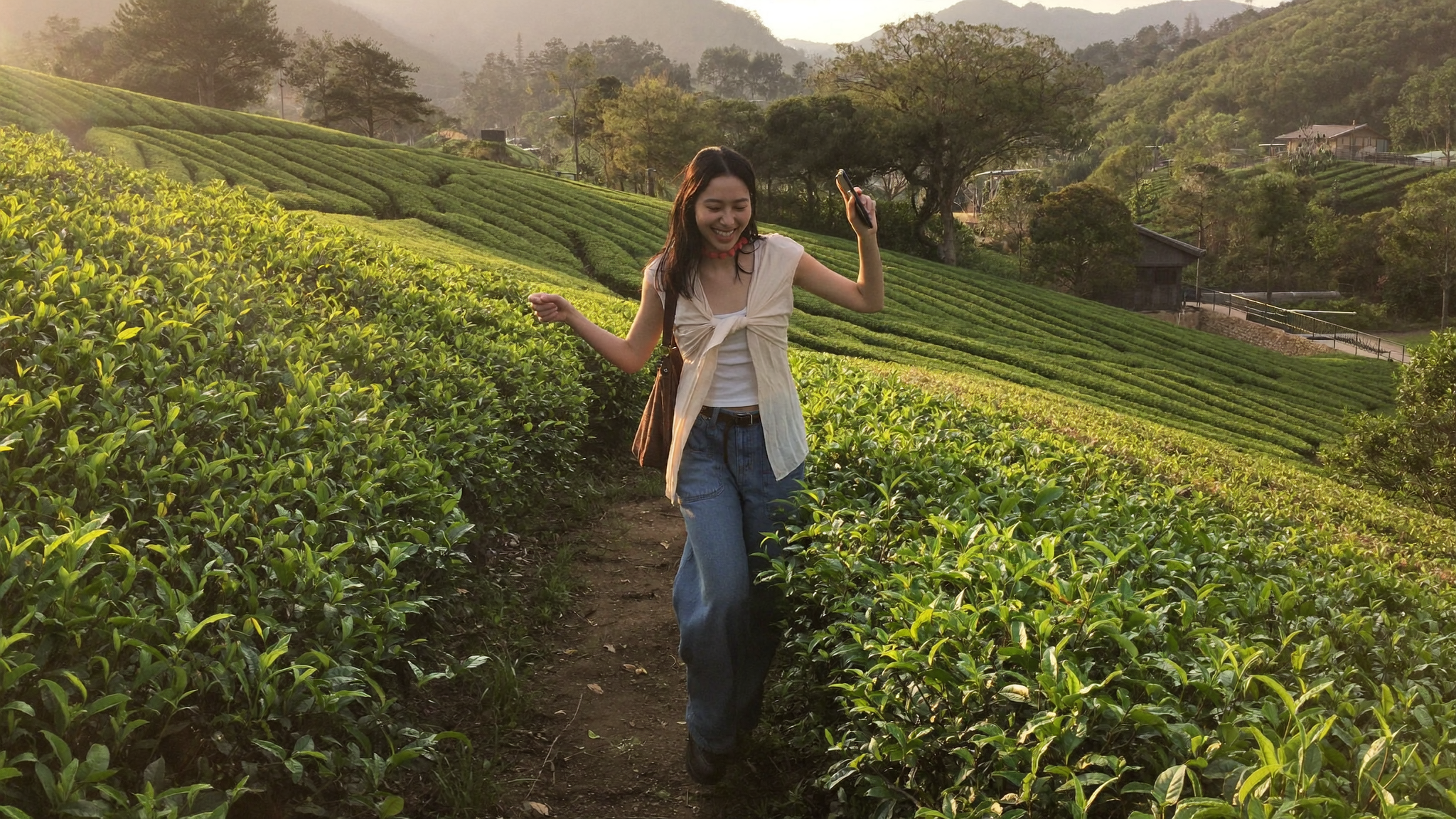 游客漫步宝城绿茶园小径