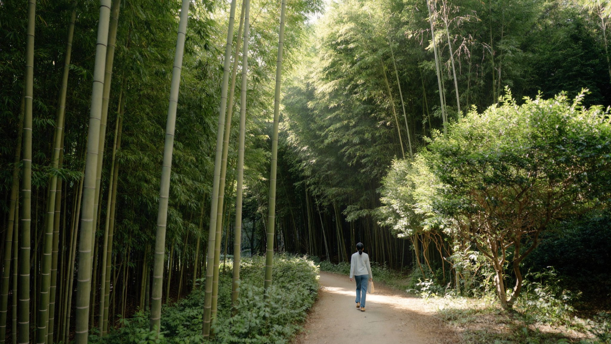 タミャン旅行ガイドで紹介する竹緑苑の竹林散策路