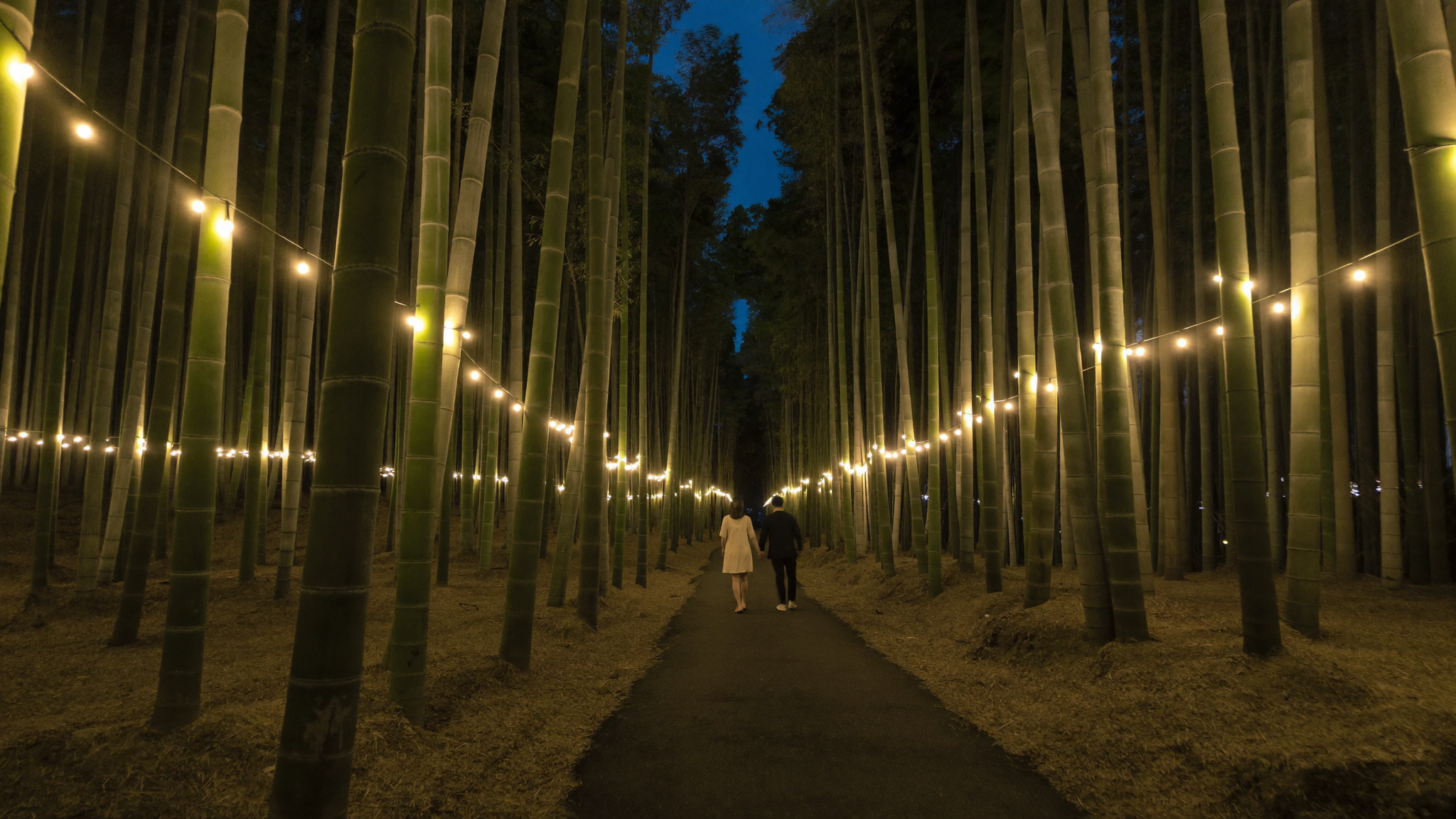 夜にライトアップされたタミャン竹緑苑、タミャン旅行ガイドの見どころ