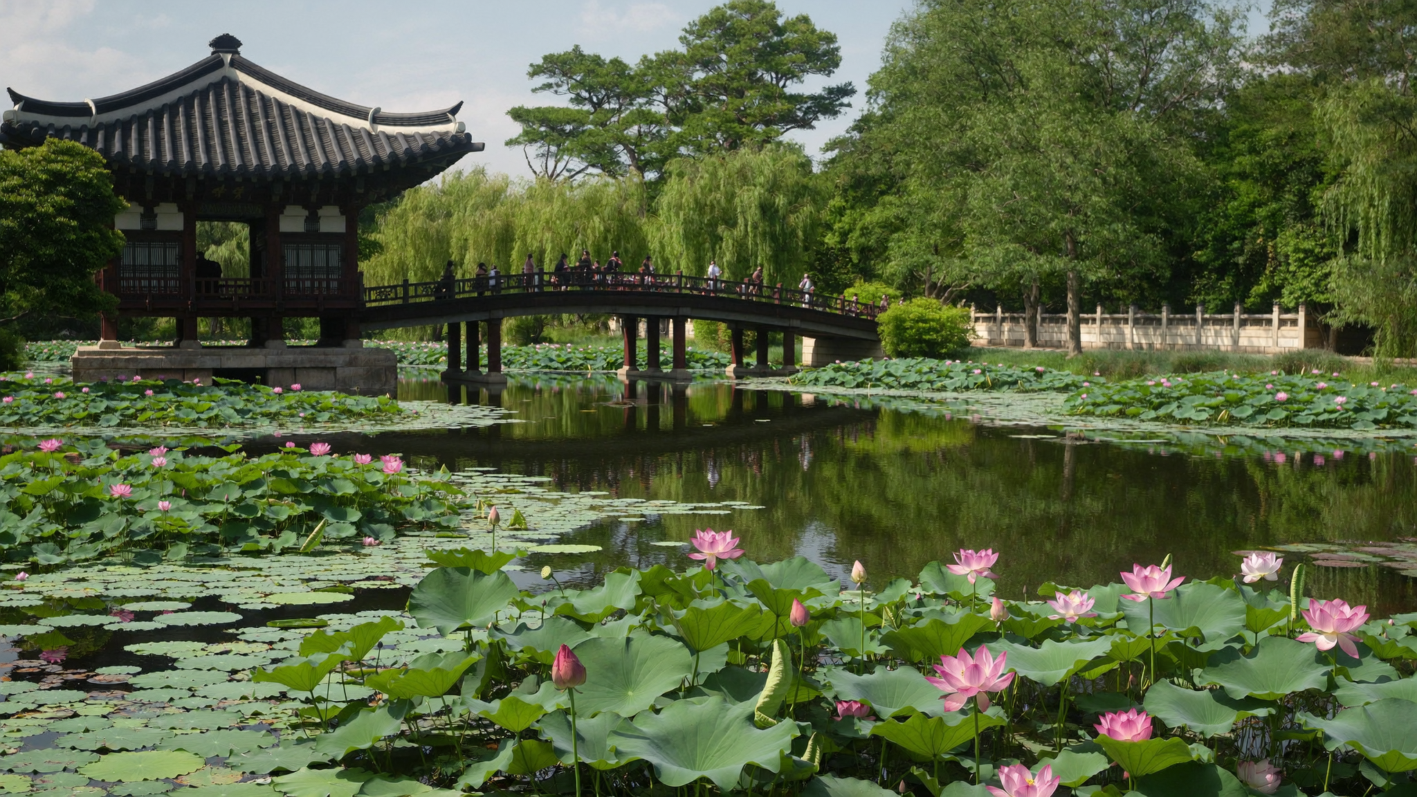 Buyeo travel guide - lotus flowers blooming at Gungnamji Pond