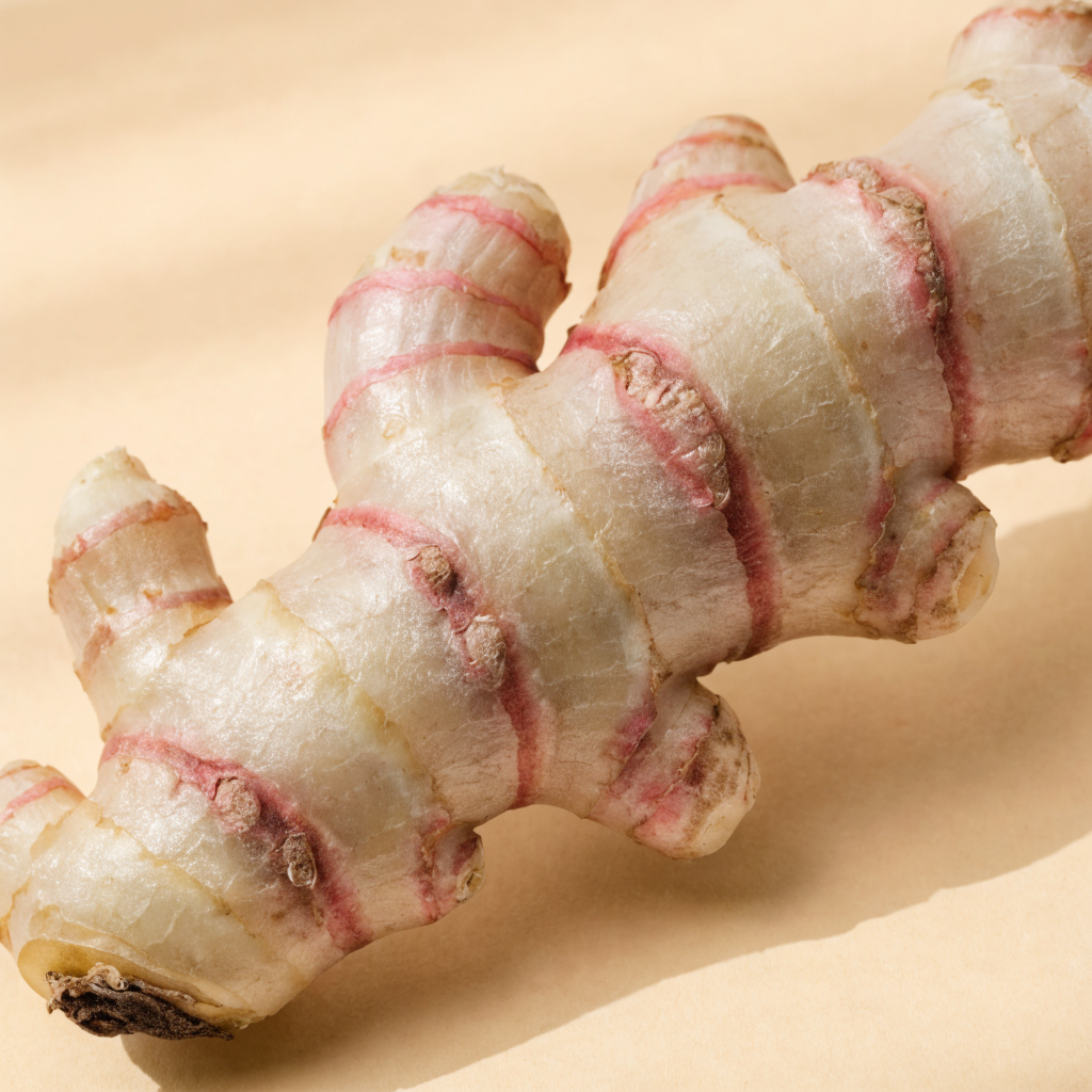 Galangal Root