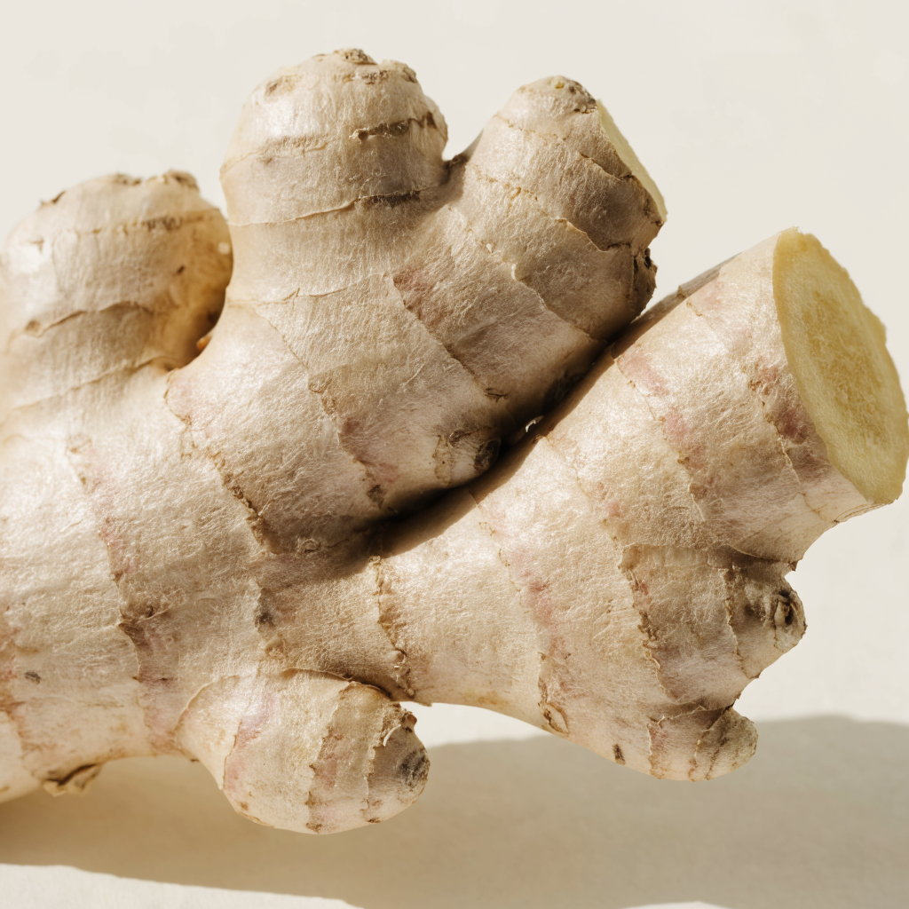 Ginger Root