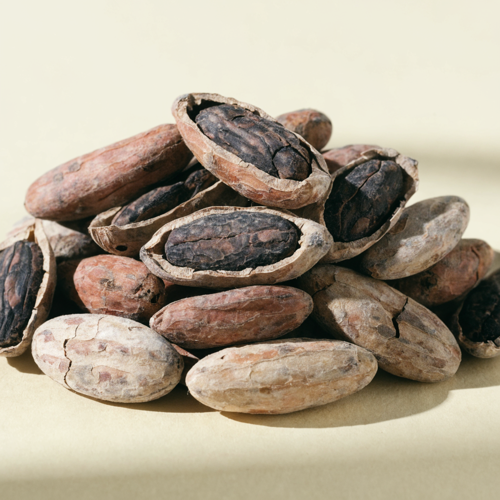Cacao Bean
