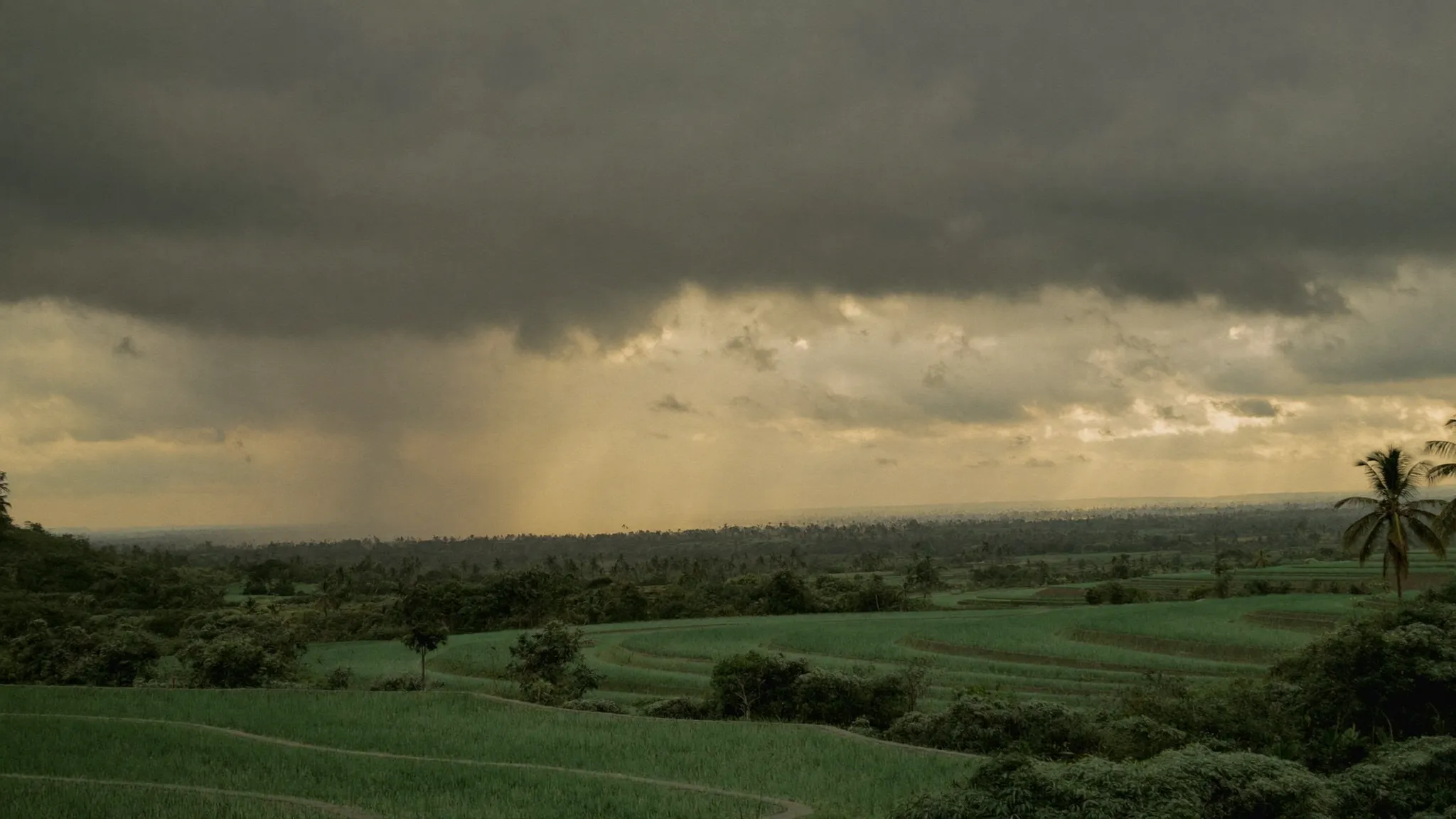 Rainy Season Backup Plans: How to Weather-Proof Your Bali Wedding Day
